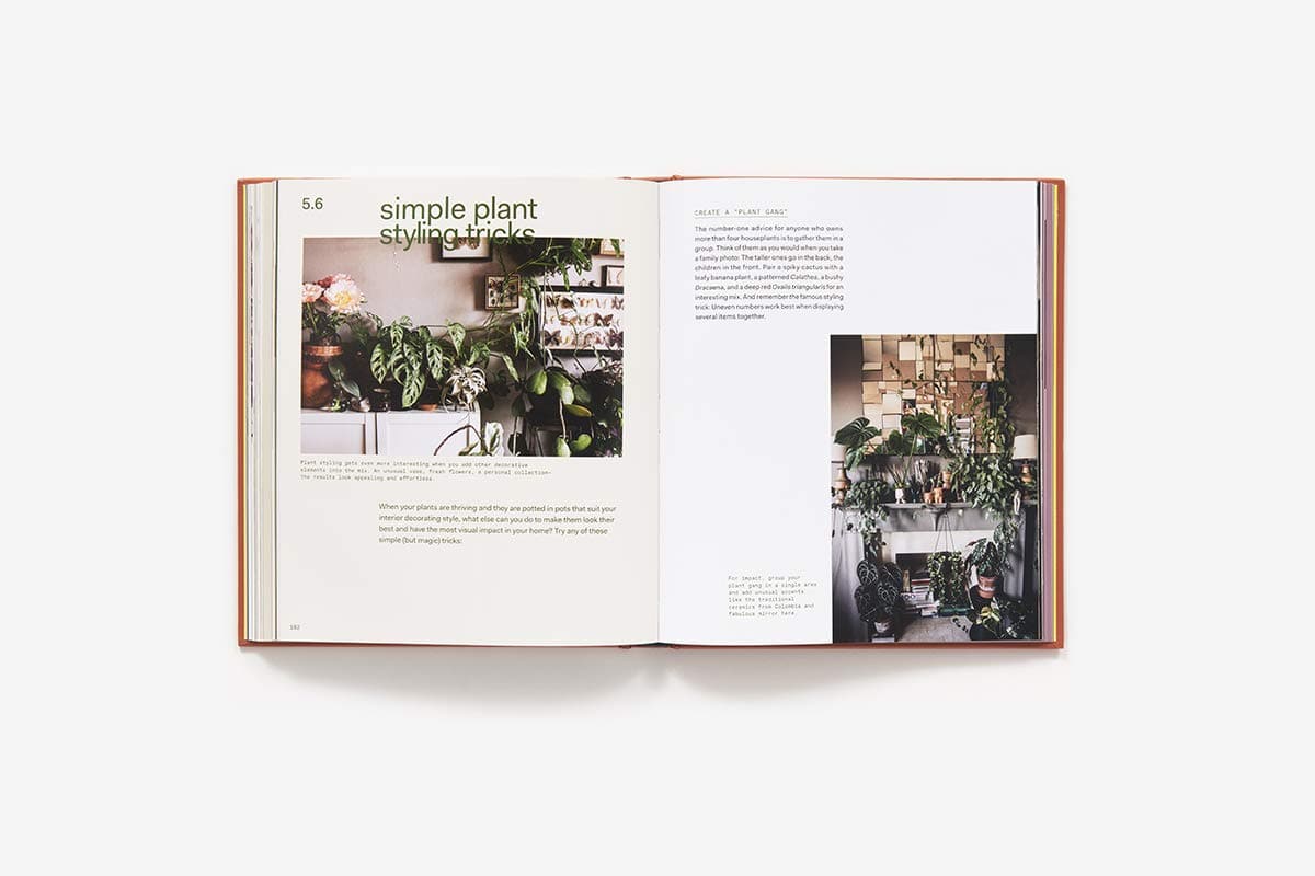 In front of a white background is an open book. Both pages are white with pictures of homes with dark green plants. Next to each picture is olive green text. 