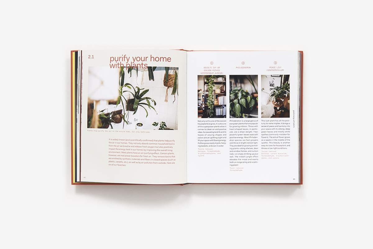 In front of a white background is an open book. Both pages are white with pictures of plants with white and rust colored text. 