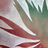Original painting of jagged aloe vera leaves in green and red with a wood grain texture.