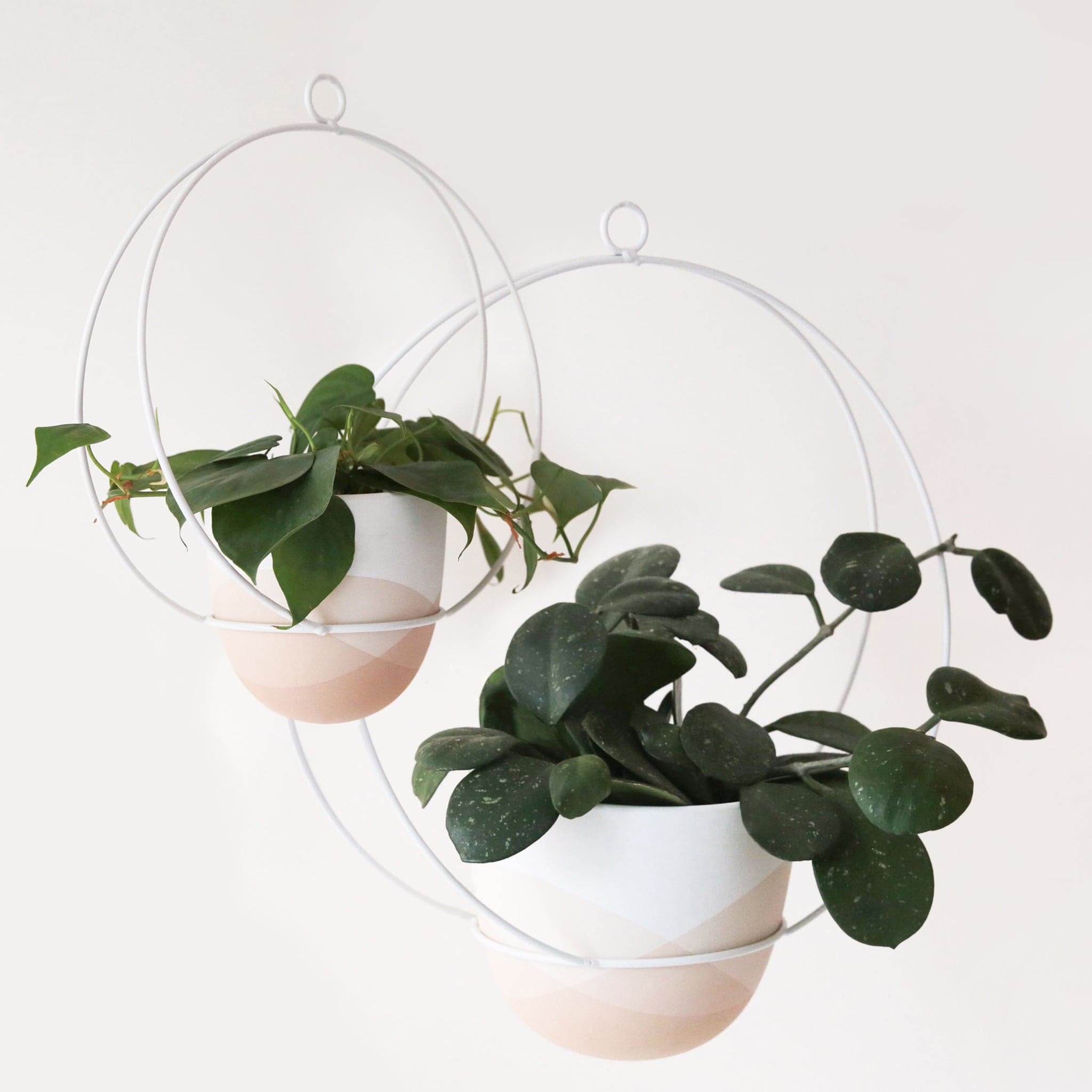 The simple silhouette of the Cloud Hanging Planter combines a stylish ombre finished pot with a white metal hanger to make a stunning backdrop for all your hanging plants.