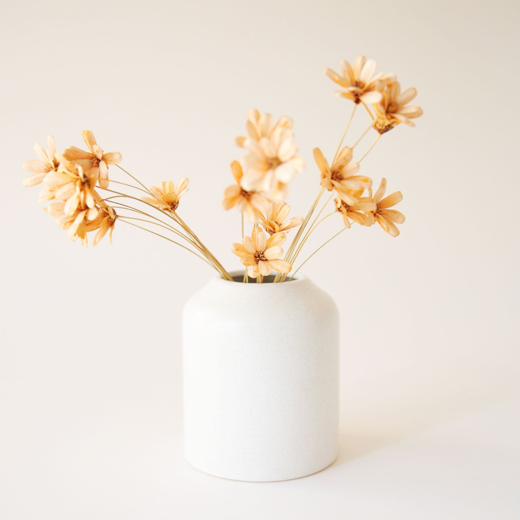 On a cream background is a white short ceramic vase with an opening at the top and staged with dried florals. 