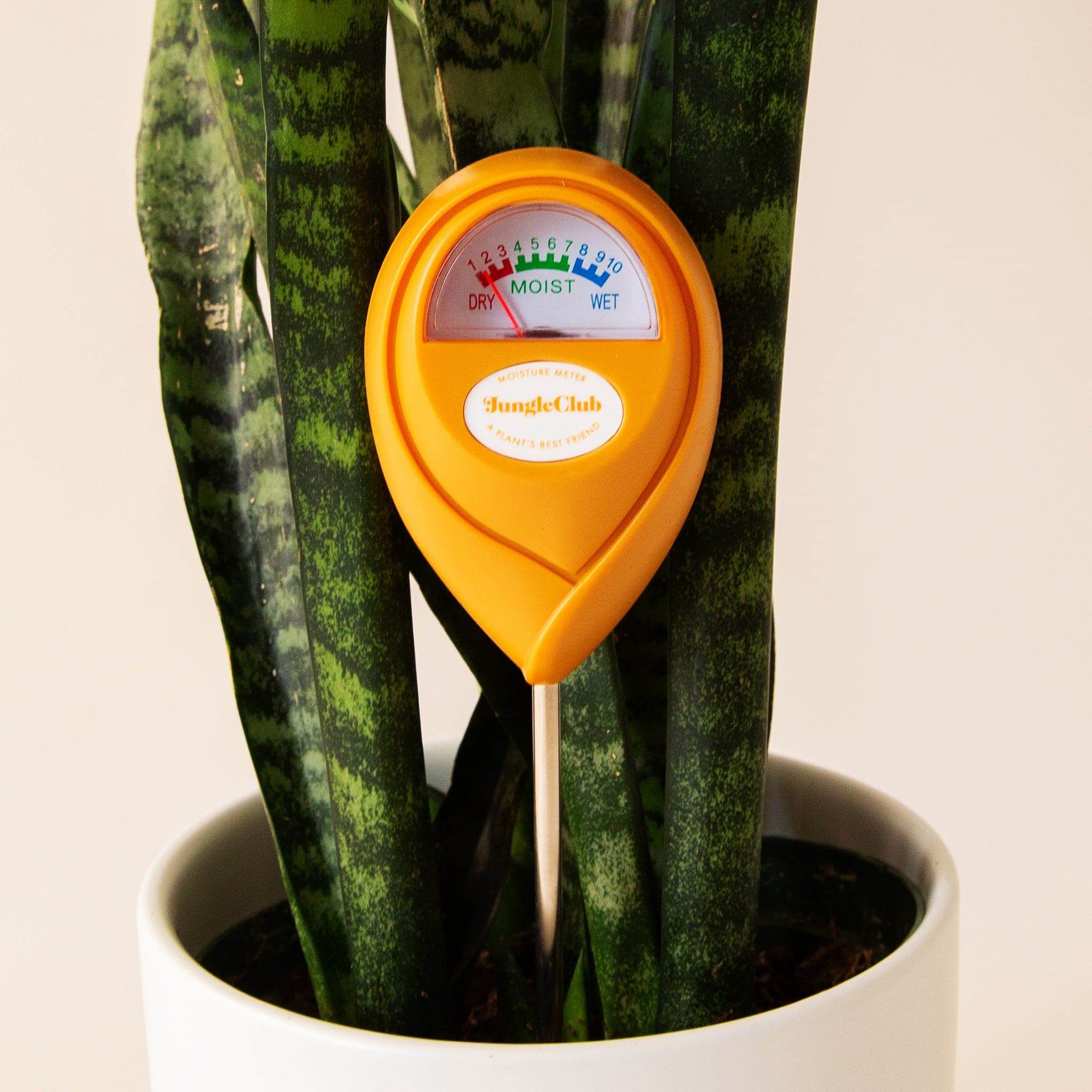 An orange moisture meter with a rounded head and a white meter that ranges from dry, moist, or wet along with a small oval label in the front that reads, &quot;Jungle Club&quot;.