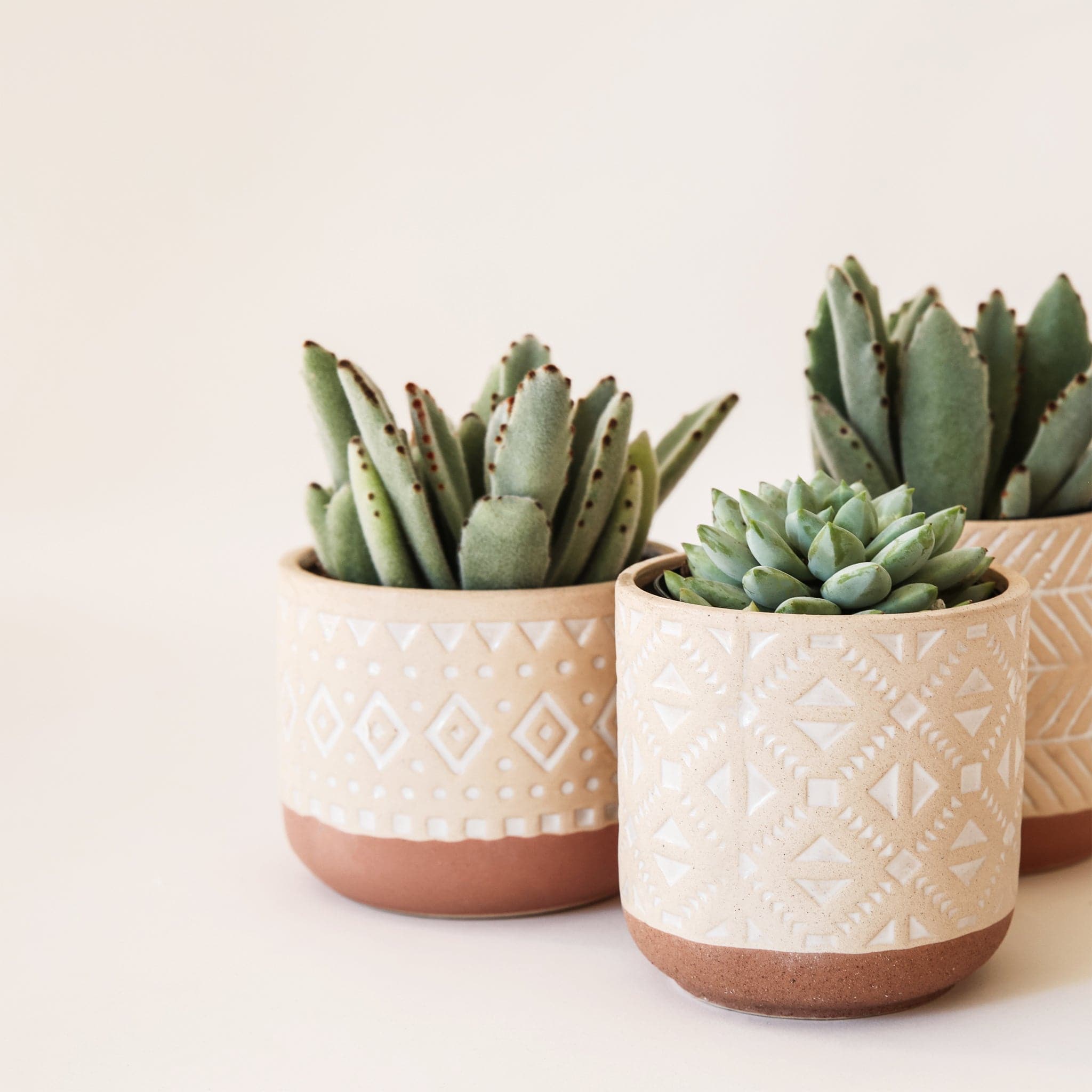 Picture of an arrangement of each pot type with planted succulents. Each pot type shown. The bottom of the vessel is a dark tan while the top color is lighter with white imprinted designs.