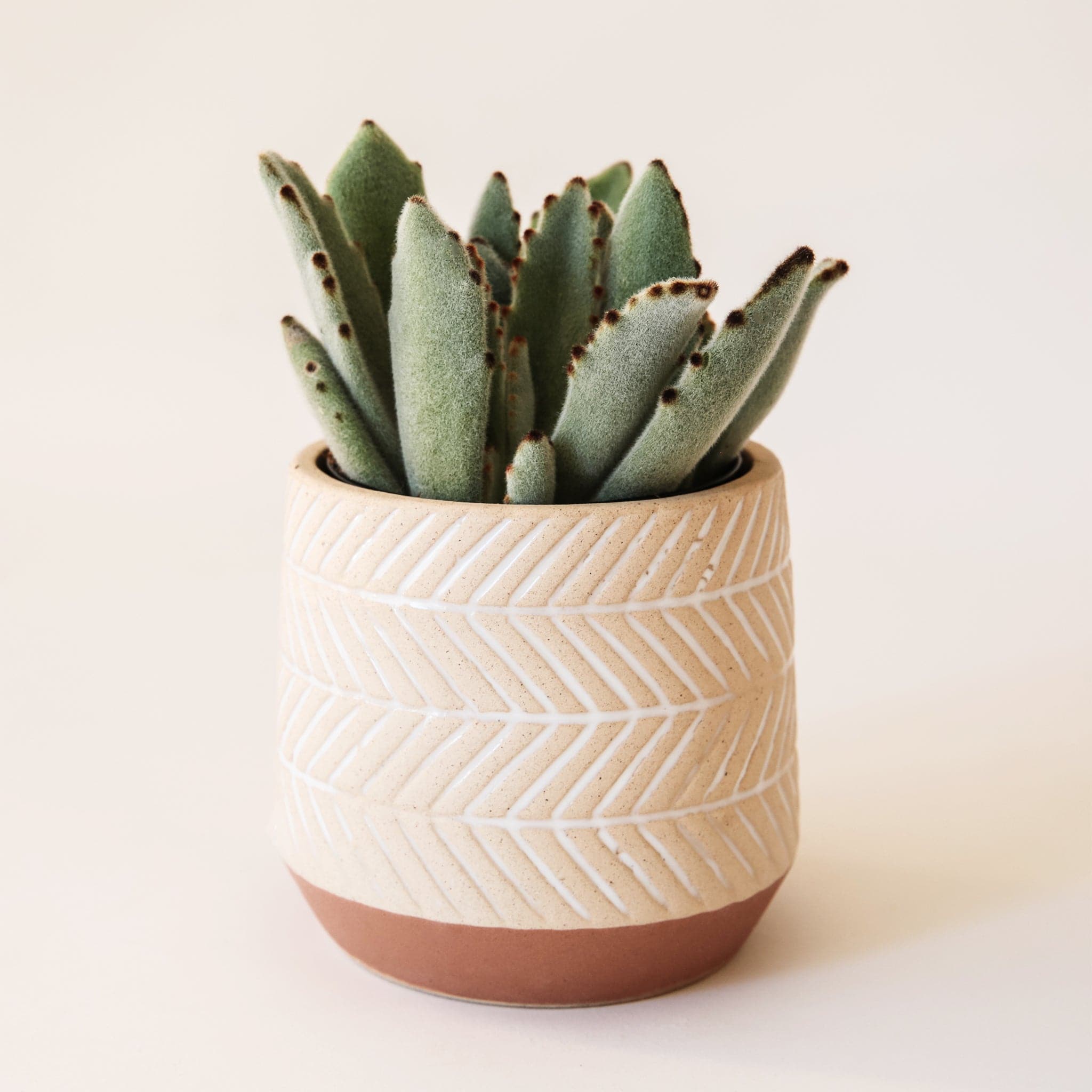 A pot where the top tapers, then widens, then tapers at the bottom. The bottom of the vessel is a dark tan while the top color is lighter with white imprinted zig zag designs.