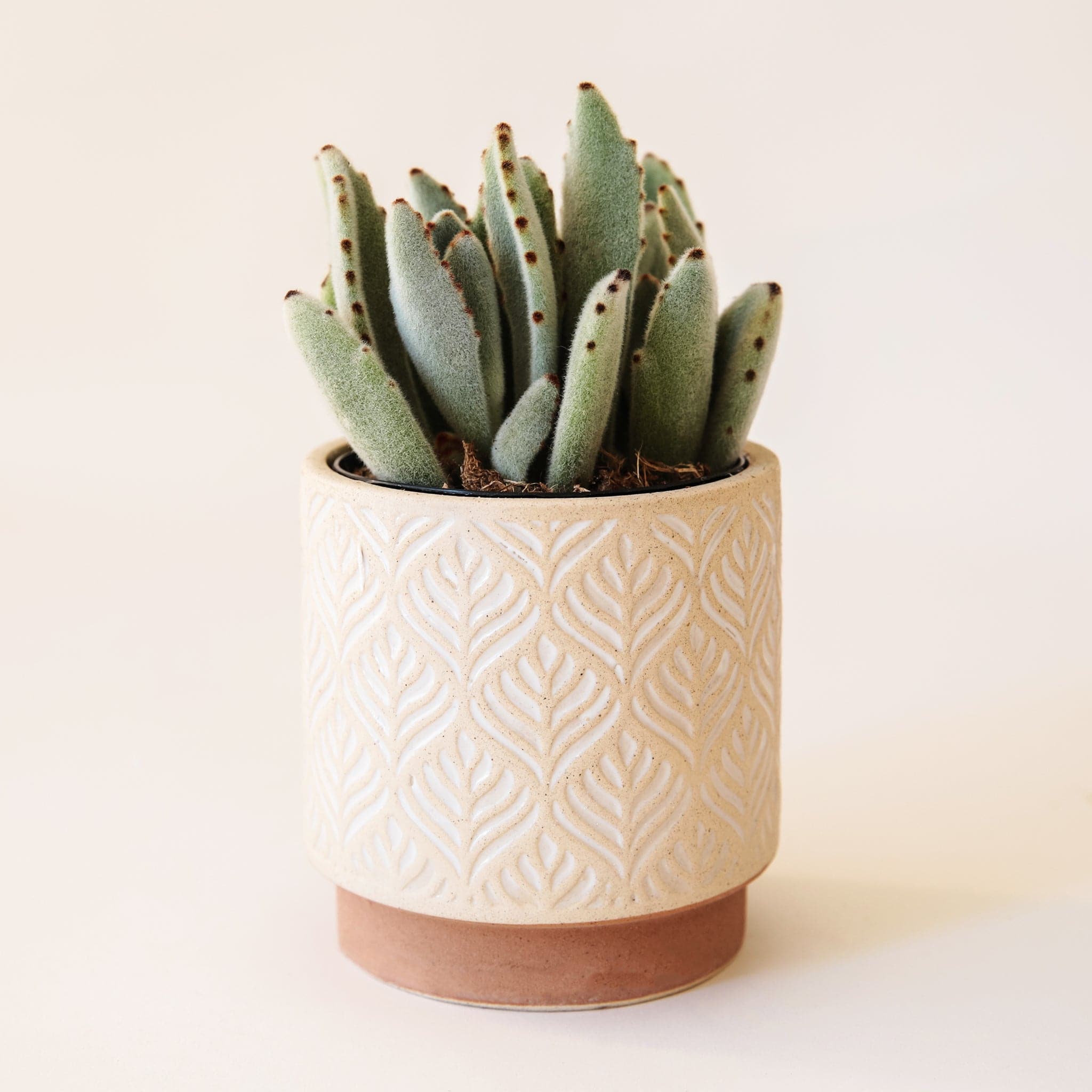 A pot where the bottom of the vessel is a smaller size then the portion that holds the plant. The bottom of the vessel is a dark tan while the top color is lighter with white imprinted abstract leaf pattern.