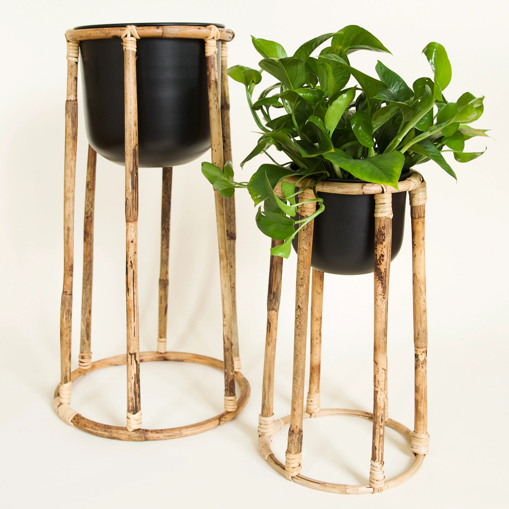 Two rattan plant stands on a white background. One taller on the left and one shorter on the right. Stands have circular bases and taper slightly at the top. Both plant stands have black metal pots with rounded bases. The plant stand on the right has a green trailing Pothos plant inside with leaves hanging over the edge.