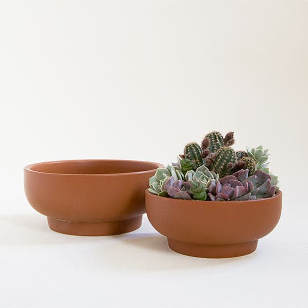 Two chocolate brown pedestal bowl planting pots, both with tapered bases. The bowl to the left sits empty, while the bowl to the right is filled with an artfully crafted, green succulent arrangement.