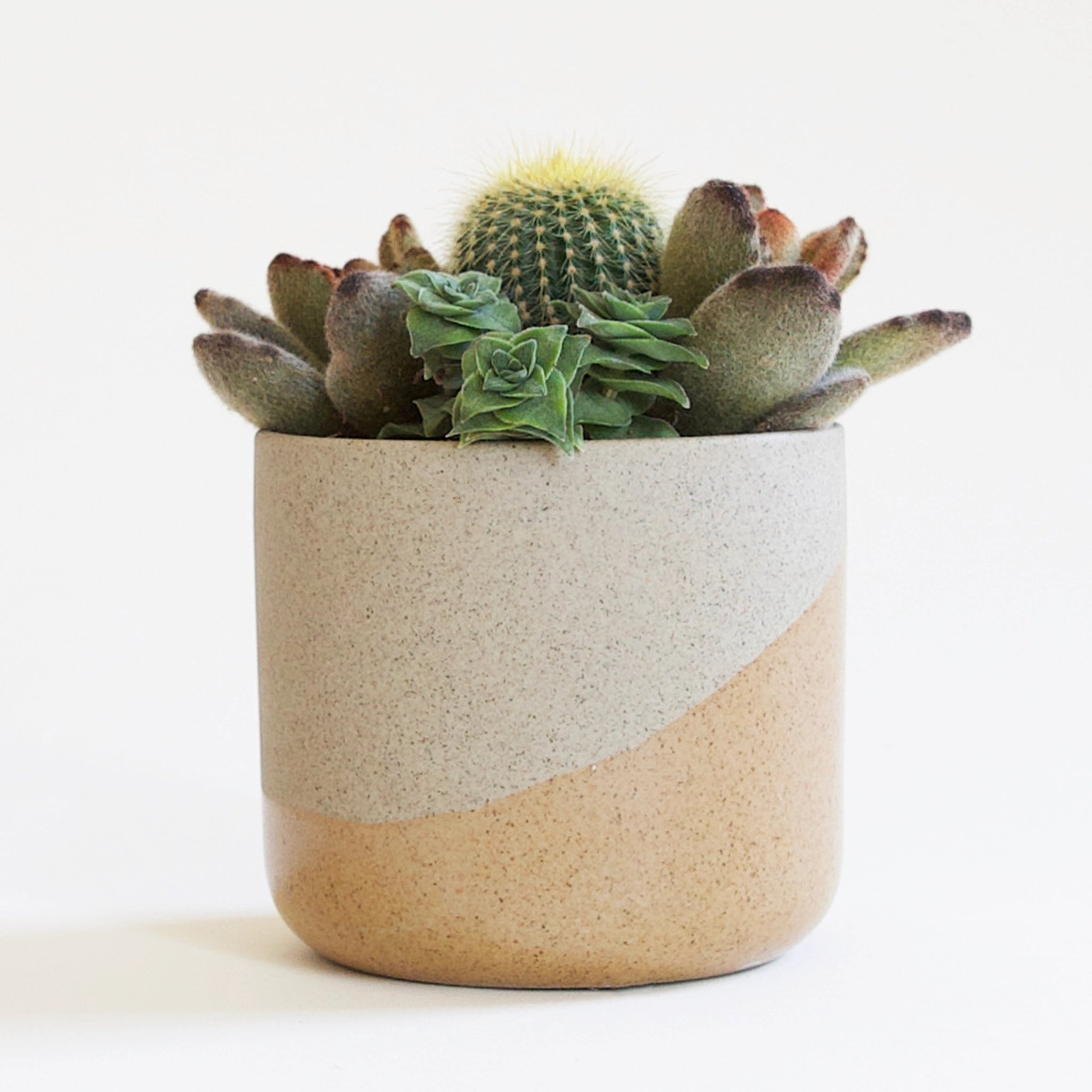 A tan and orange speckled pot is filled with succulents and cacti