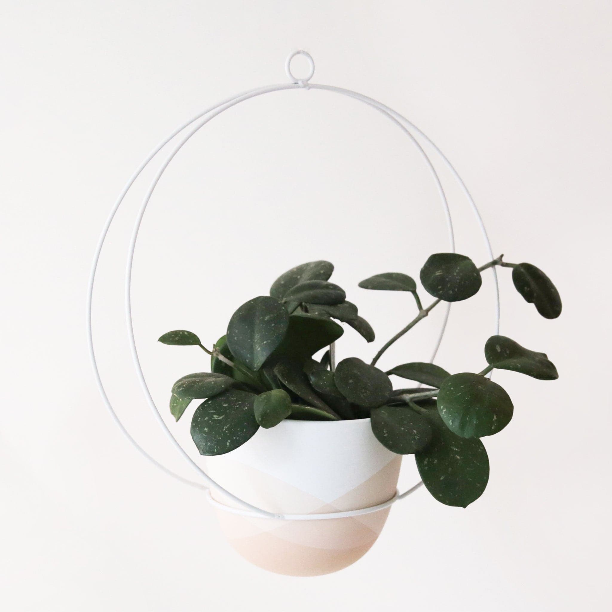 The simple silhouette of the Cloud Hanging Planter combines a stylish ombre finished pot with a white metal hanger to make a stunning backdrop for all your hanging plants.