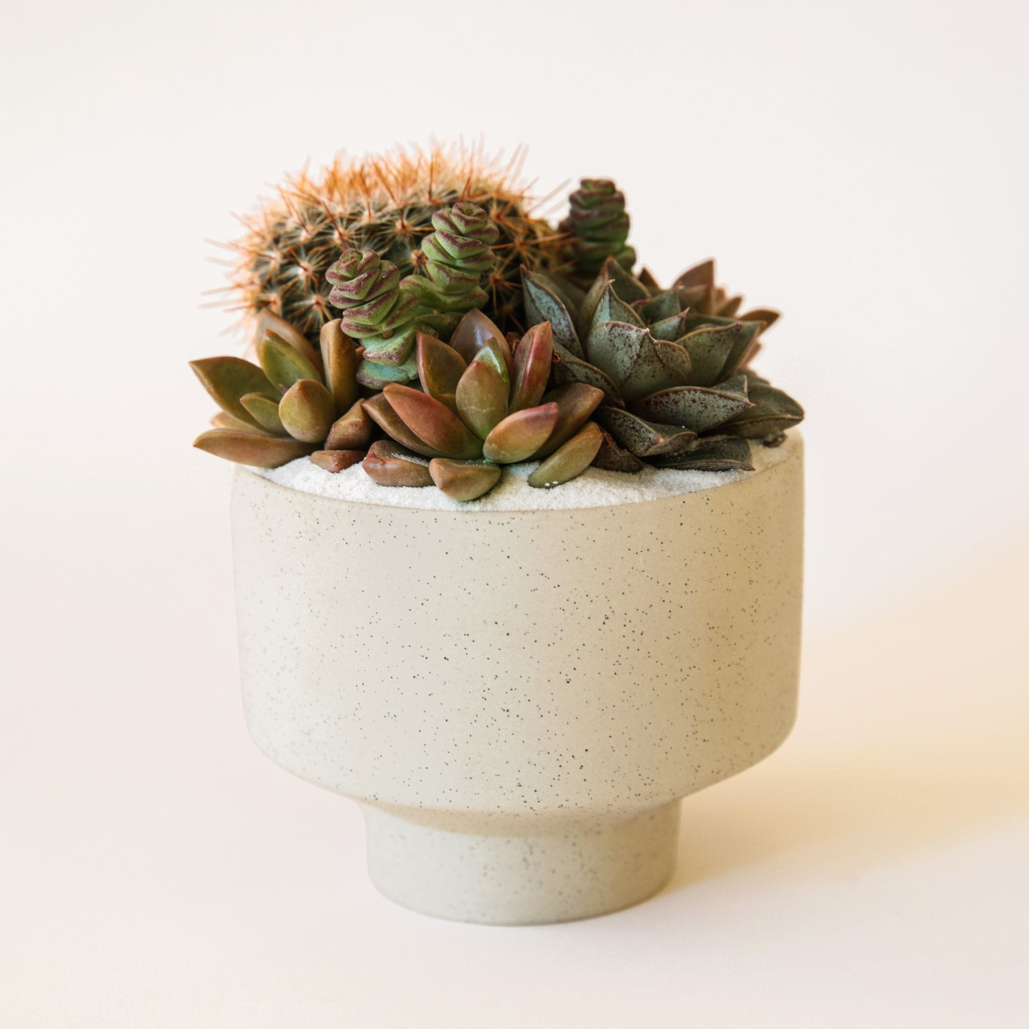 Warm grey speckled planter with an elevated base and warm succulent display.