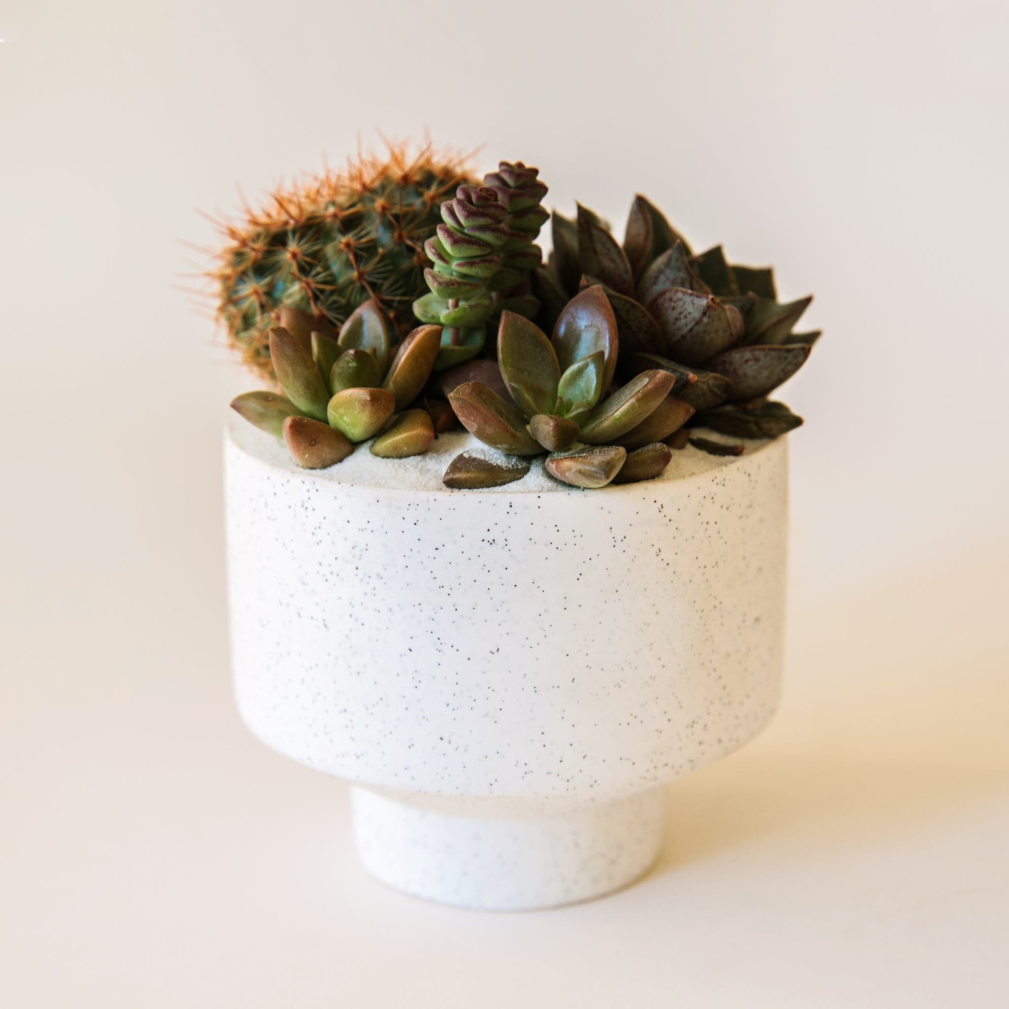 white speckled plant pot Speckle Footed Planter | White