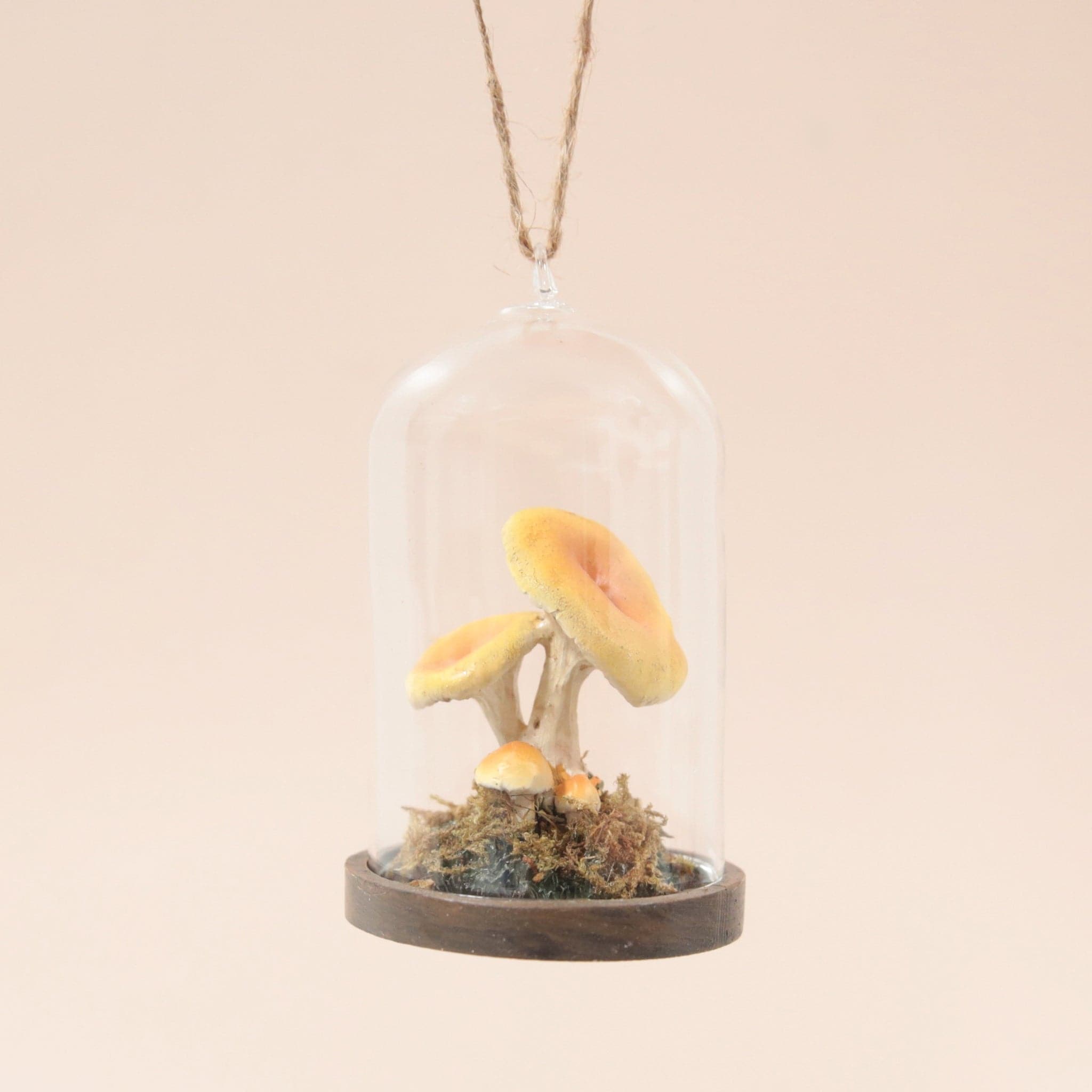 This mushroom ornament features three mushrooms of different sizes with a yellowy/tan top, placed in a glass dome cloche with a wooden base and moss covering the bottom.
