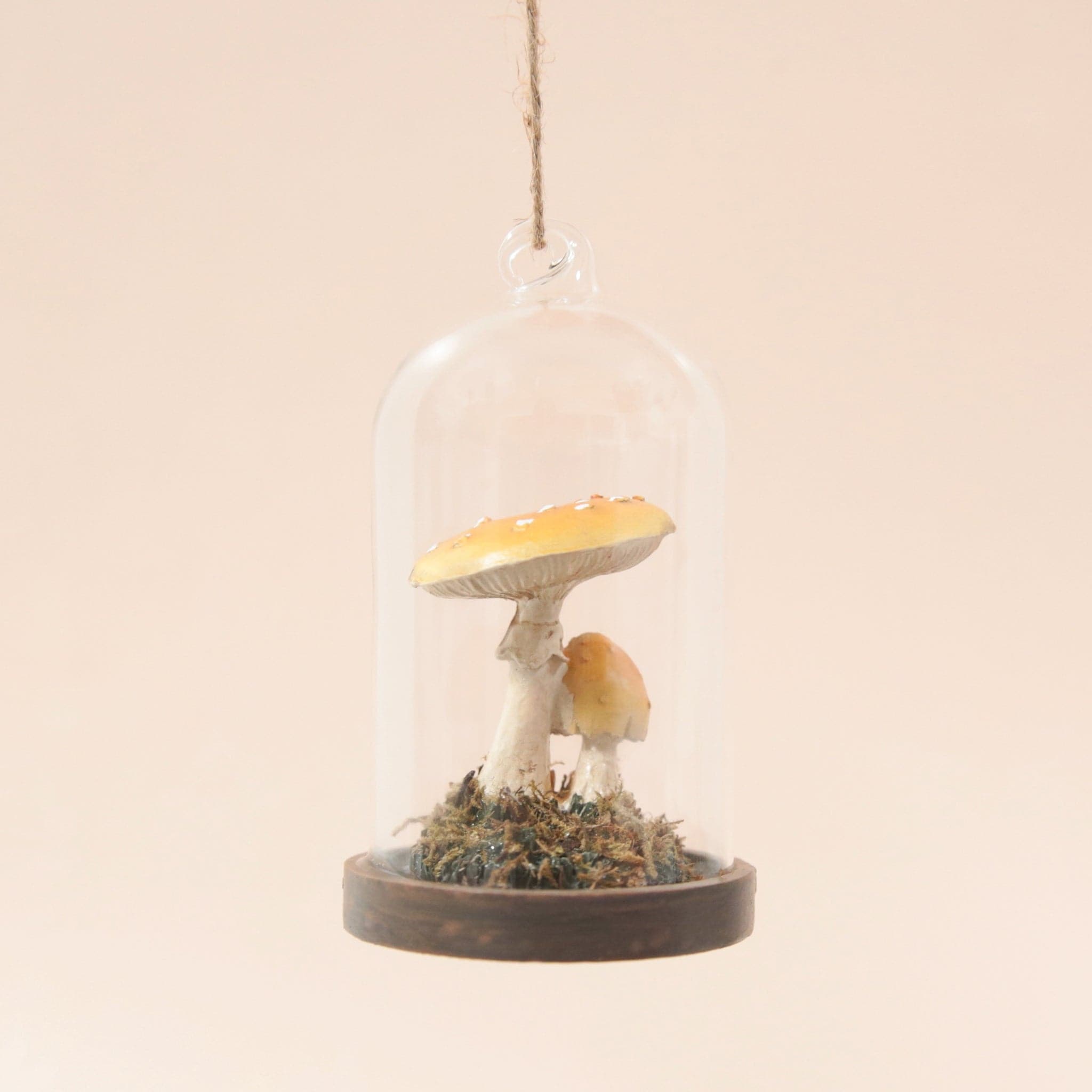 This mushroom ornament features two mushrooms of different sizes with a yellowy/tan top, placed in a glass dome cloche with a wooden base and moss covering the bottom.