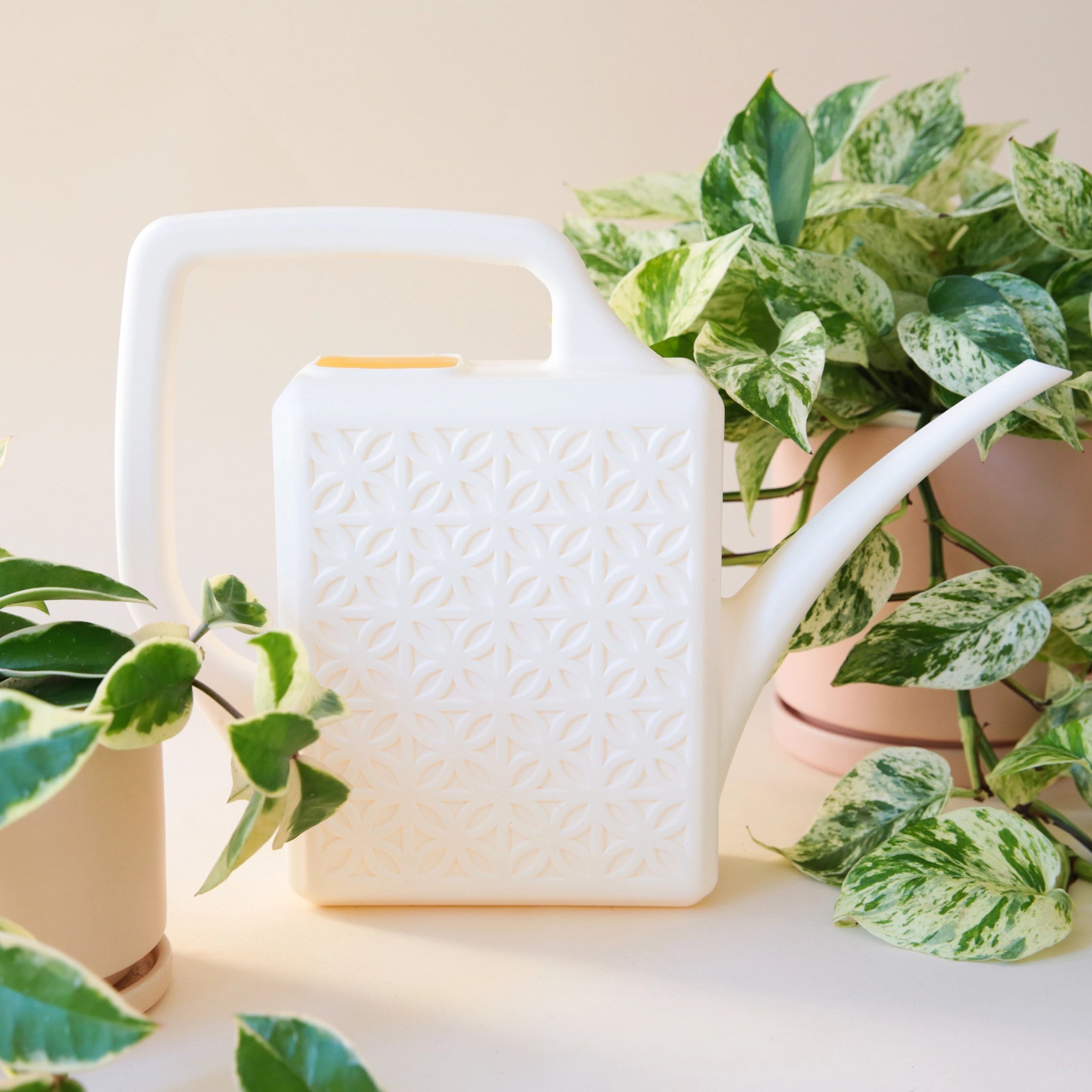 On a neutral background is a white plastic watering can with a long curved spout and a squared off handle along with a breeze block textured design on the sides of the watering can.
