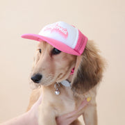 A wiener dog modeling a pink and white baseball hat with a white hat, and a pink bill and mesh backing along with pink outlined text that reads, "California" on the front.