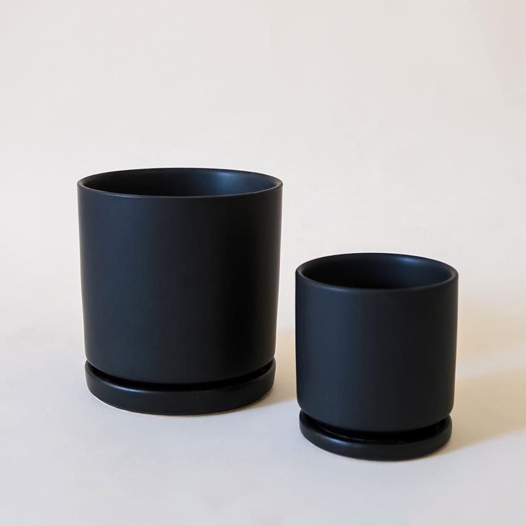 On a cream background is two different sized black ceramic pots with removable trays for watering.