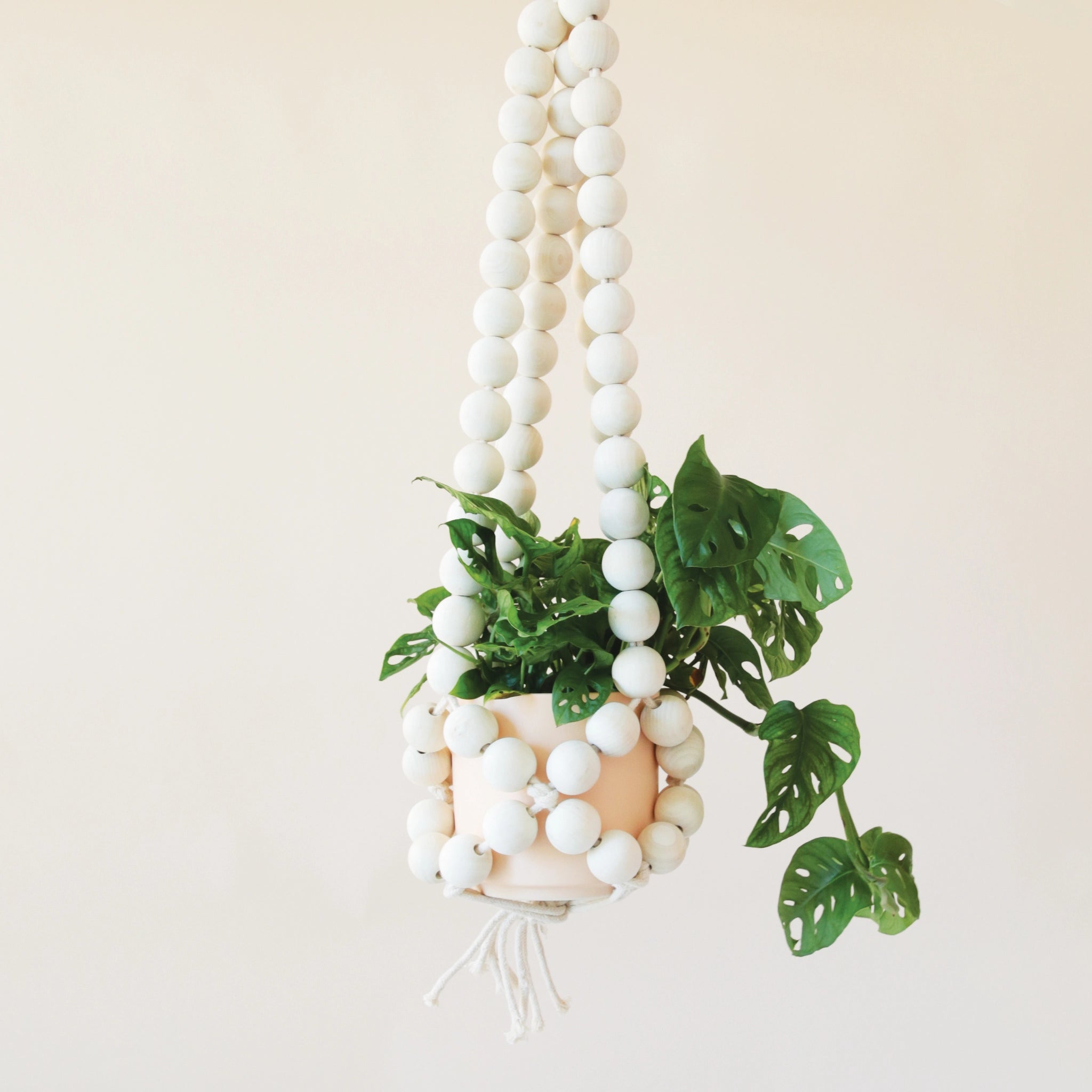 A plant hanger made of large round wooden beads forming a basket shape and coming together at the top to hang. There is a green leafy Swiss cheese plant  inside the plant hanger that is not included with purchase.