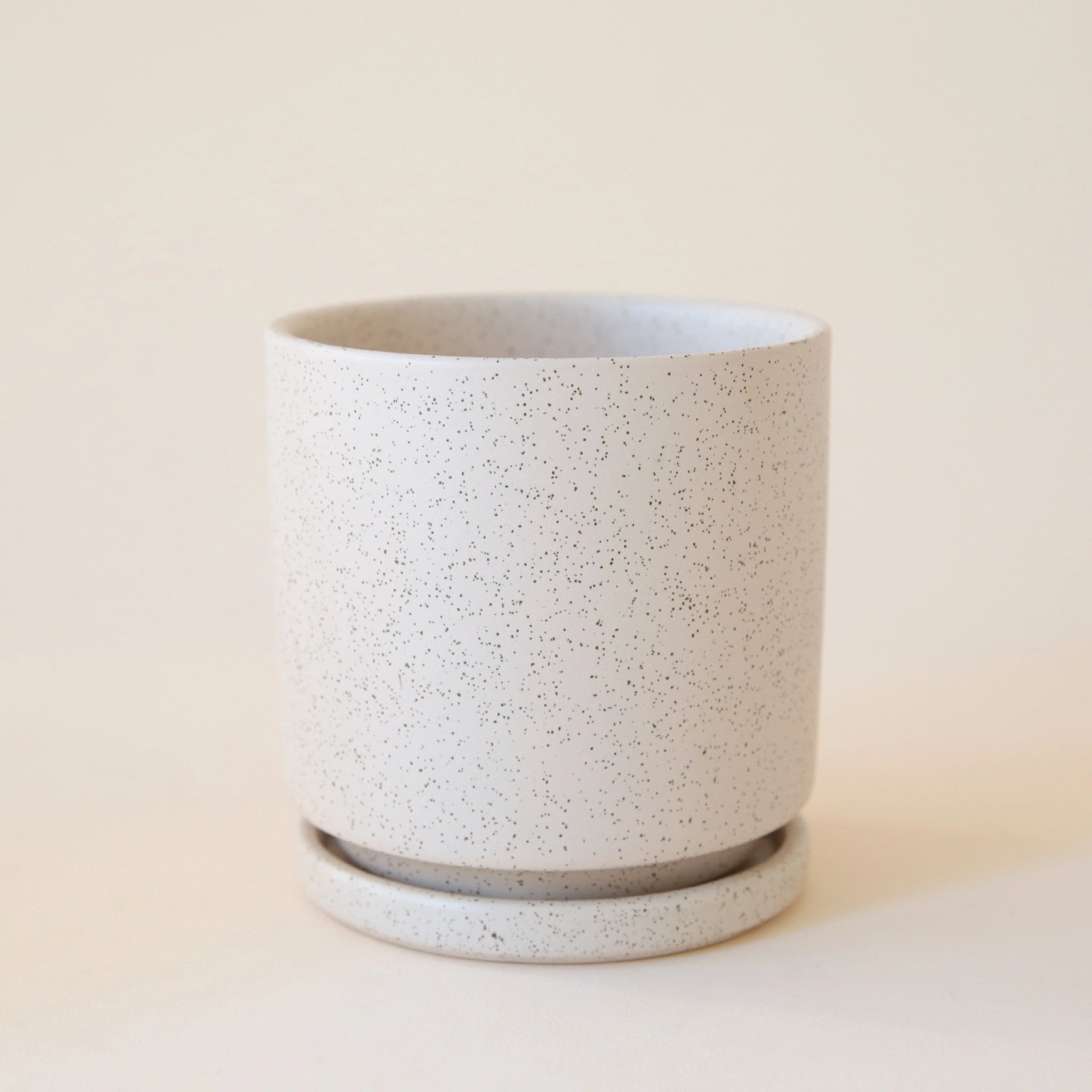 A cream with black speckled cylinder ceramic planter with a removable tray for watering. 