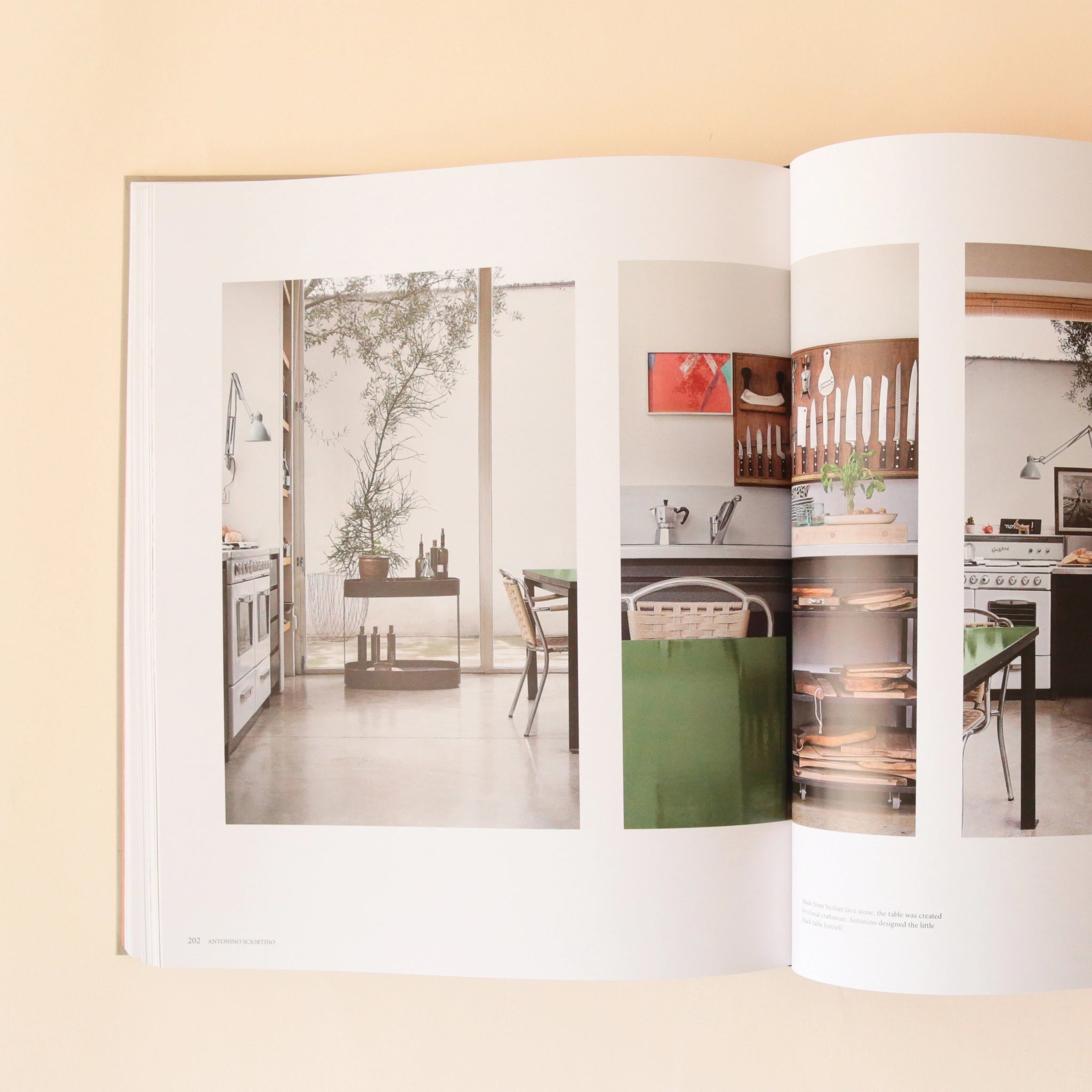A page open in the book that features a photograph of a beautifully designed kitchen with greenery.