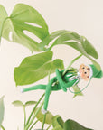 On a cream background is a green elf ornament with bendy arms and legs and a green loop for hanging. In this photo the elf is wrapped around a green house plant. 
