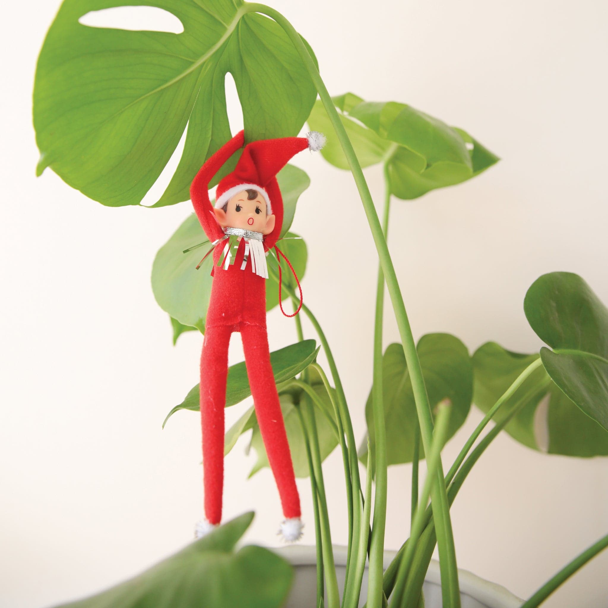 On a cream background is a red elf ornament with bendy arms and legs and a green loop for hanging and is photographed here wrapped around a green house plant.