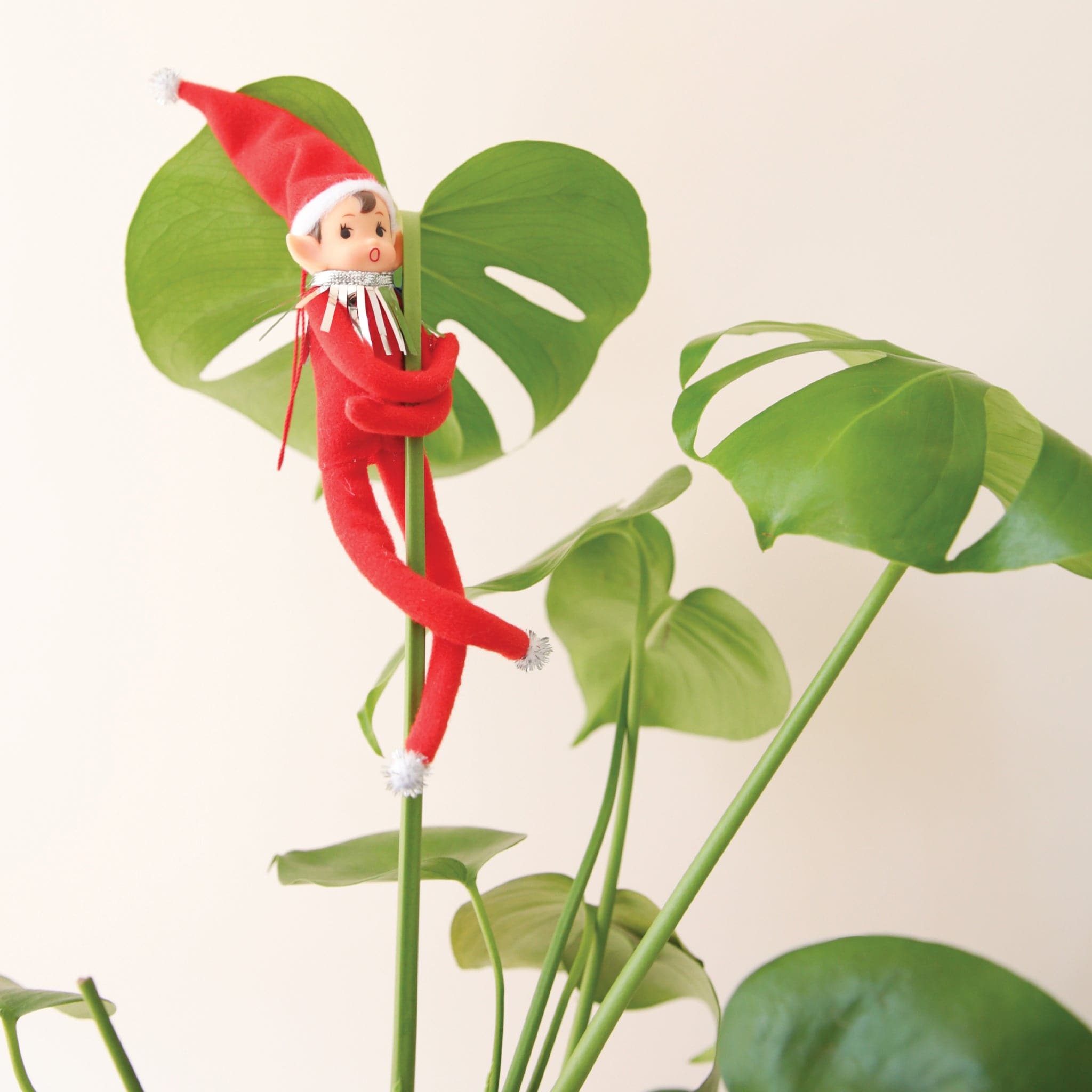 On a cream background is a red elf ornament with bendy arms and legs and a green loop for hanging and is photographed here wrapped around a green house plant. 