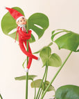 On a cream background is a red elf ornament with bendy arms and legs and a green loop for hanging and is photographed here wrapped around a green house plant. 