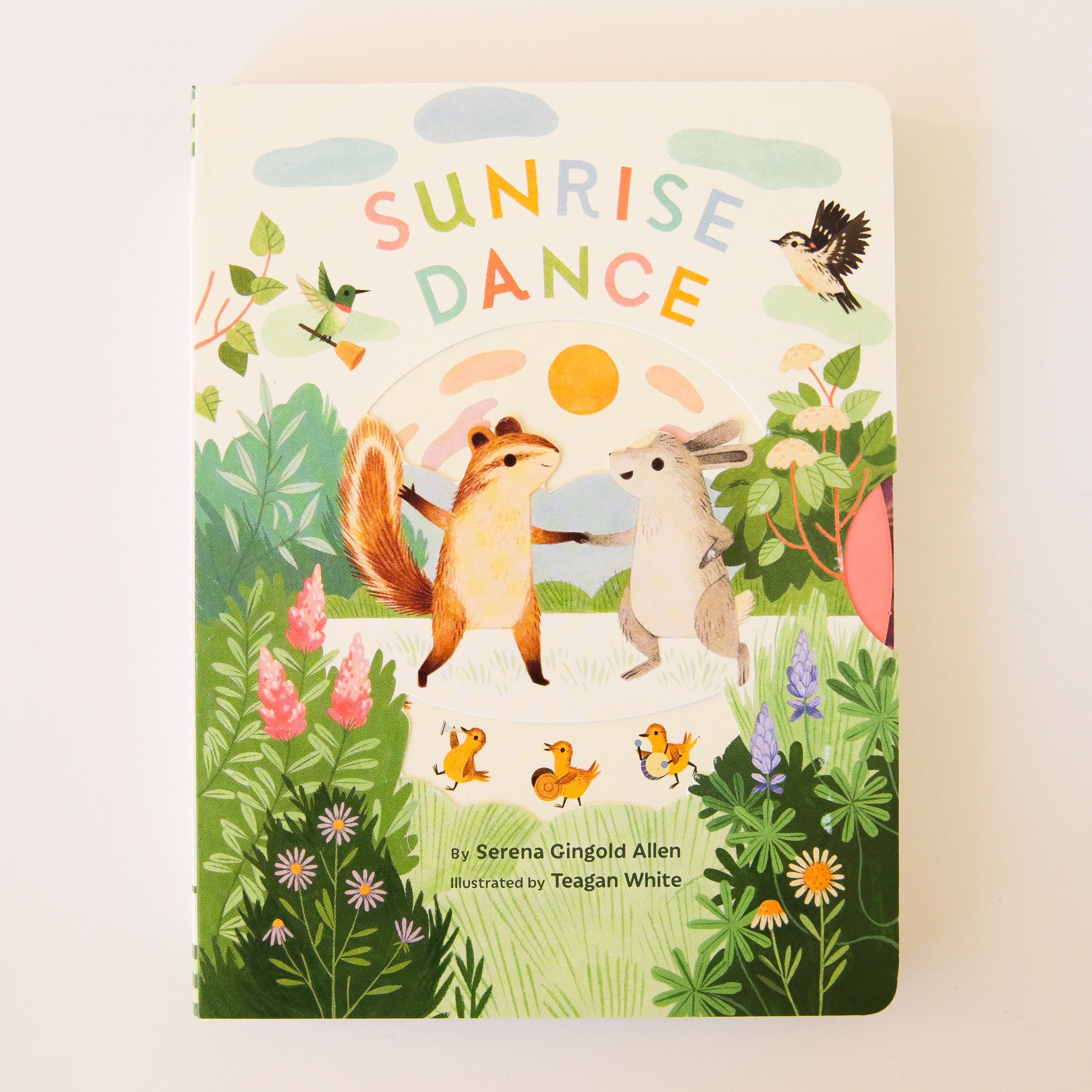 Hardcover children's book titled 'Sunrise Dance' in colorful lettering. Below the title is a spring themed scene of animals dancing in a grass field. Animals include a squirrel and bunny holding hands, instrument playing ducklings and more. 