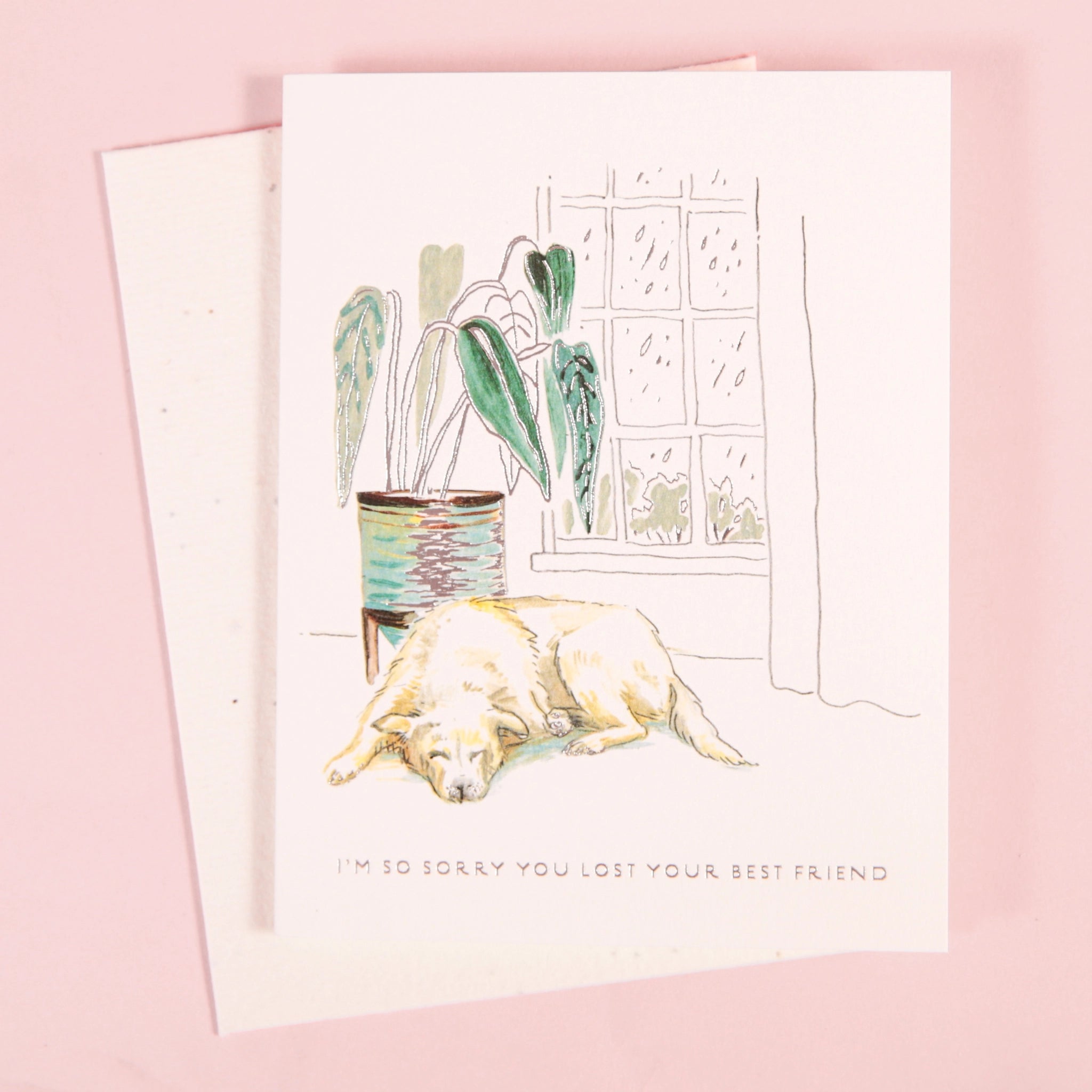 On a light pink background is a white card and envelope with an illustration of a potted green plant, a window with rain falling outside of it and a sleeping dog along with small text at the bottom that reads, &quot;I&#39;m so sorry you lost your best friend&quot;.