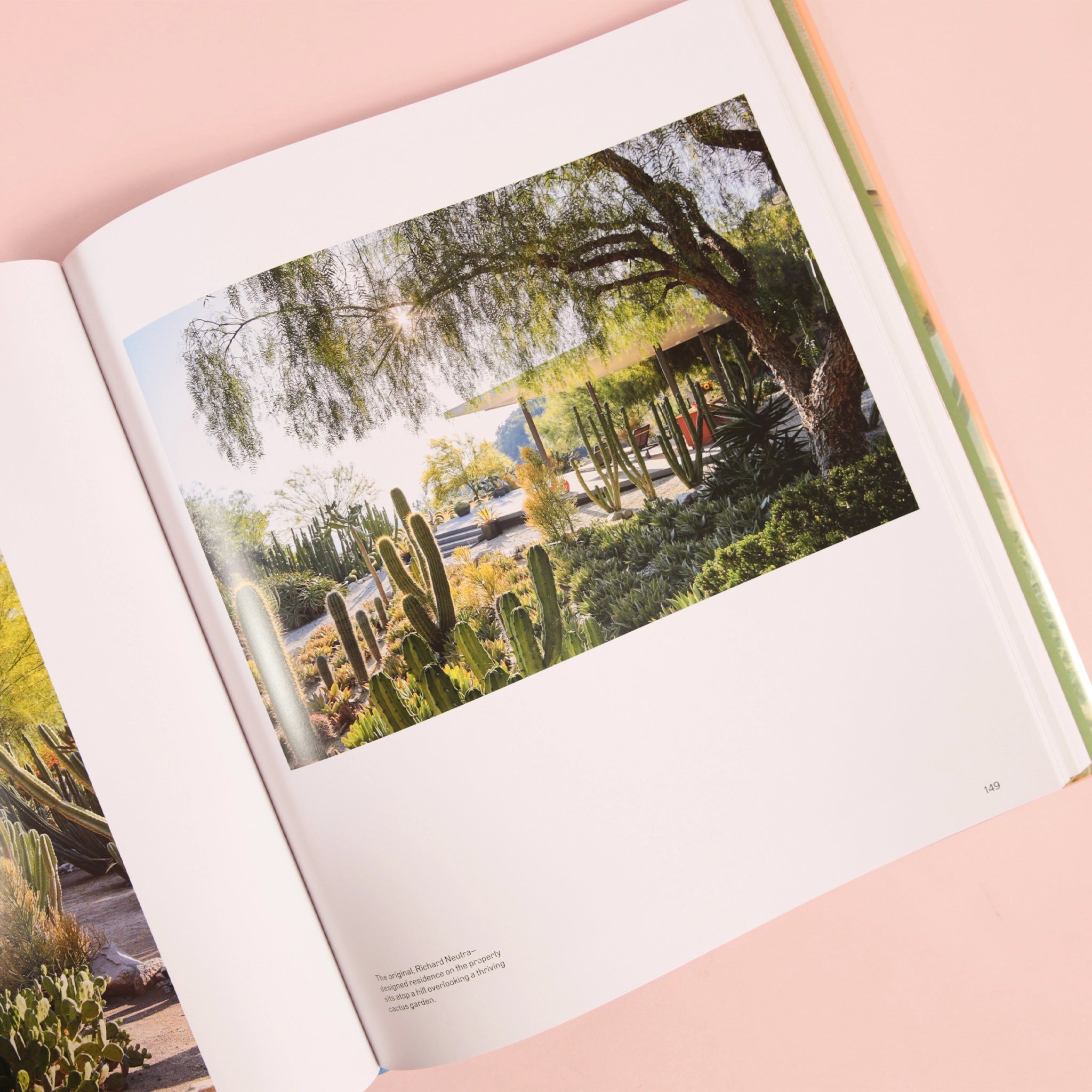 On a pink background is the book open to a photograph of a home with cacti and nature all around it. 
