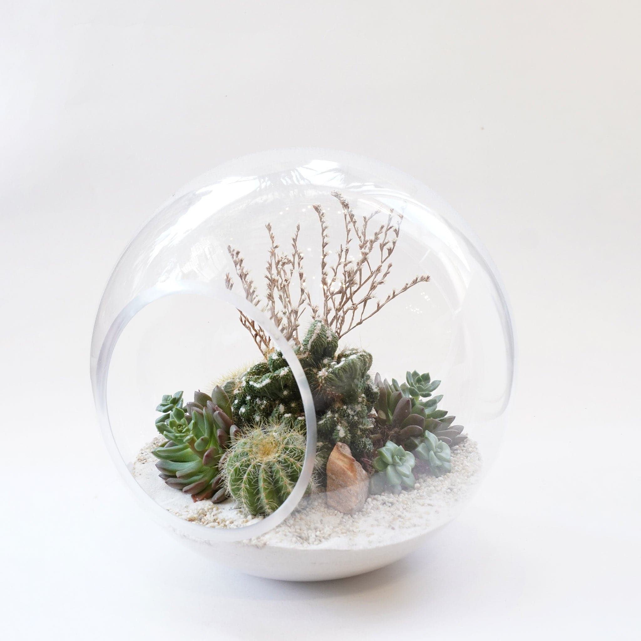 Large glass orb filled with a full succulent arrangement planted in white sand. The orb has a large circle cut out in the front. 