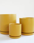 On a cream background is three different sized ceramic pots with removable water trays.
