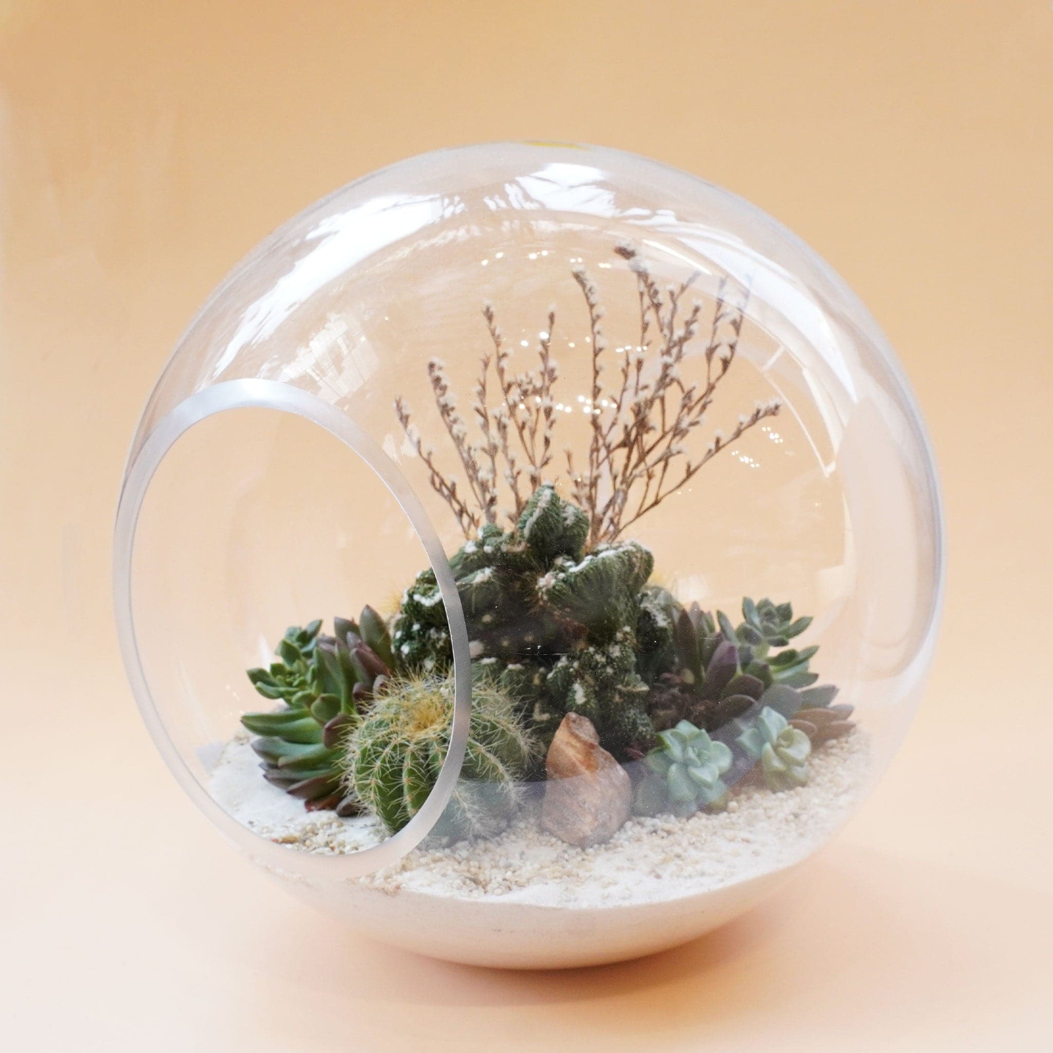 Large glass orb filled with a full succulent arrangement planted in white sand. The orb has a large circle cut out in the front and sits infant of a pale orange background. 