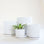 On a white background is four different sized ceramic planters with removable trays at the bottom for watering. In this photo, the smallest of the planters is holding a small house plant inside. 
