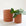 Two terracotta colored pots, one small and one large. the small one is filled with a lush green plant