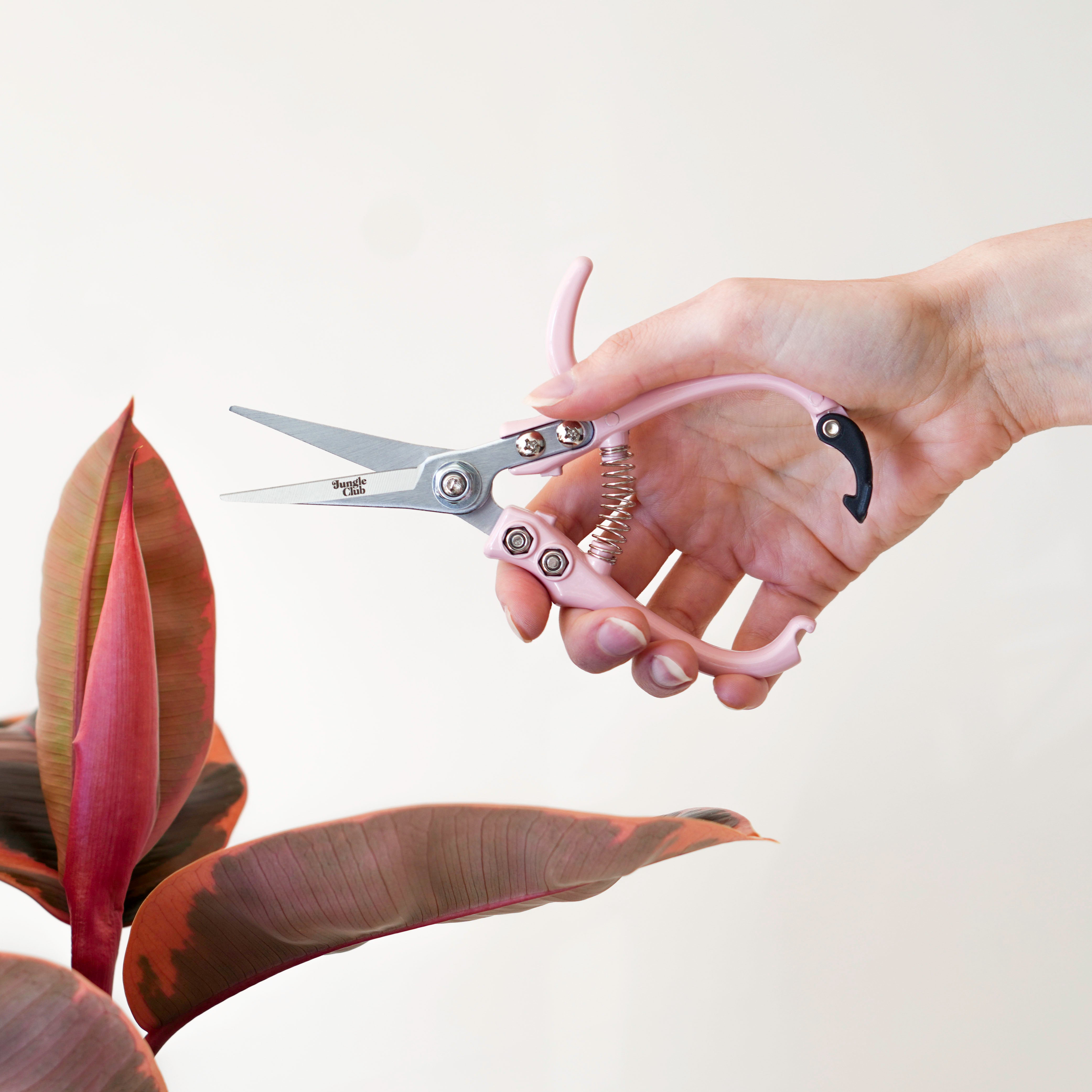The pink pruning shears in action staged next to a plant. 