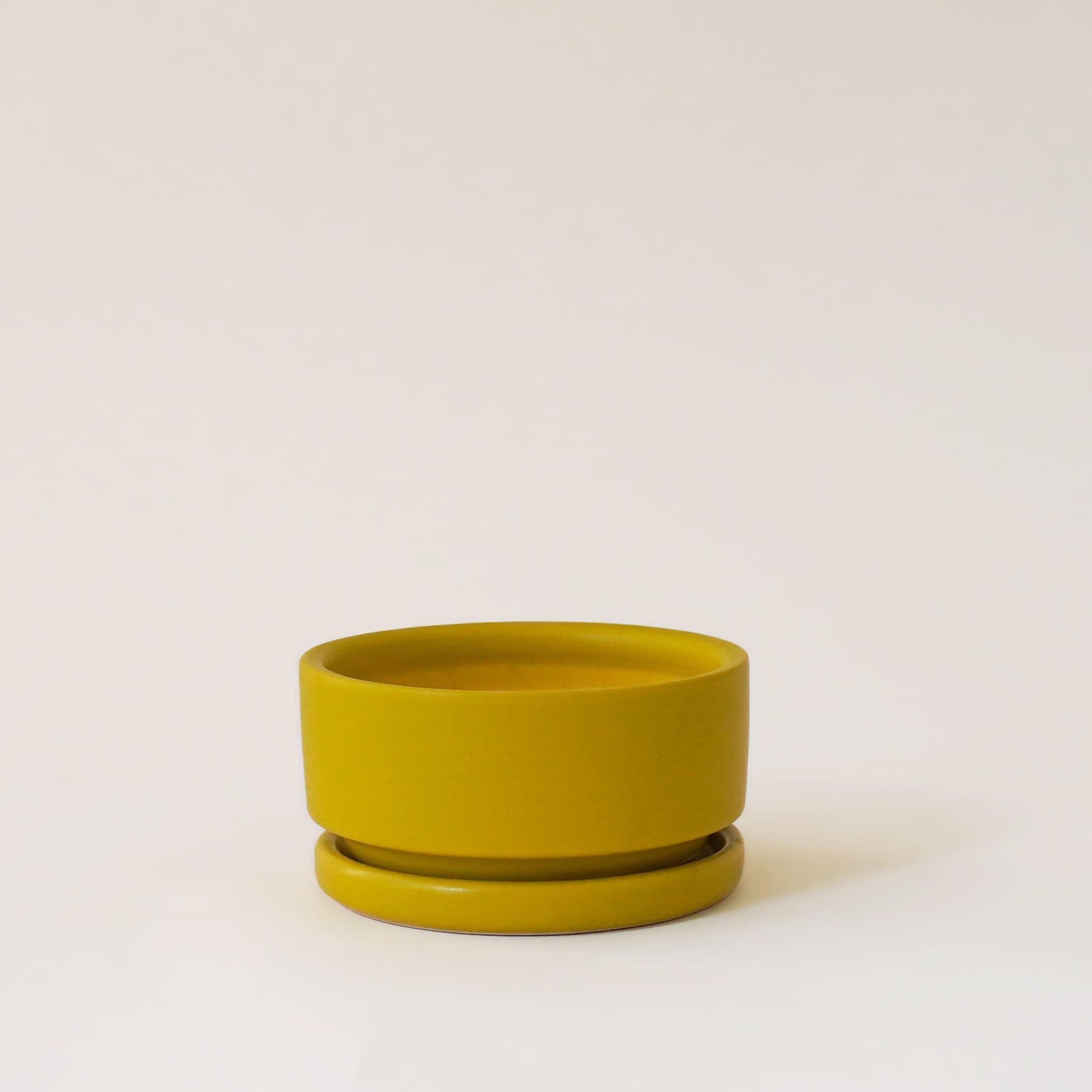 Chartreuse short and wide bowl planter complete with matching water tray below. 