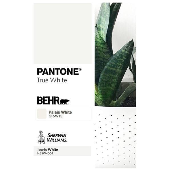 The shade of this wall planter is the equivalent to Pantone True White, Behr Palais White and Sherwin Williams Iconic White. 