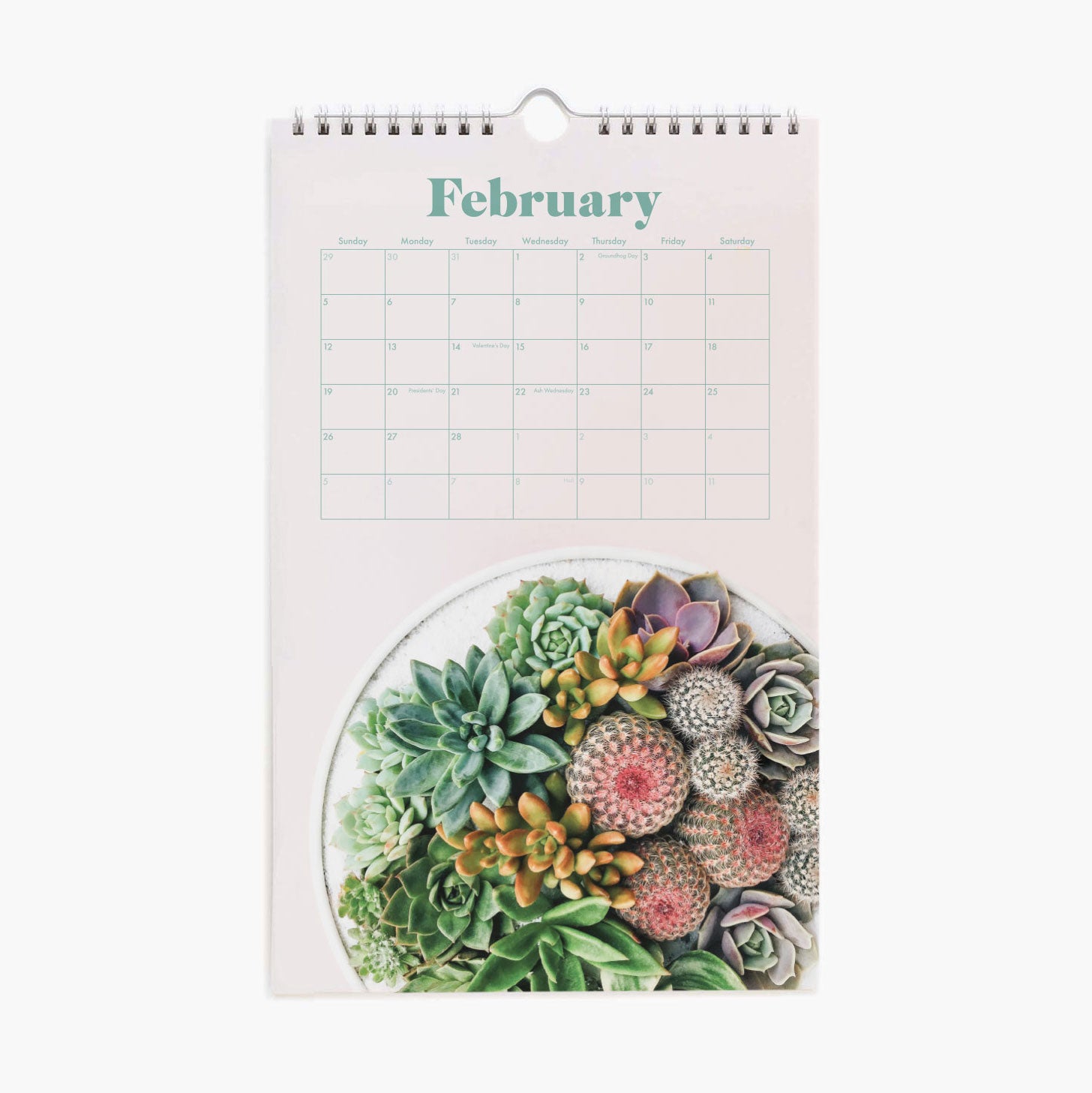 A spiral bound calendar with a cream front cover with a succulent and cacti arrangement photograph and &quot;Desert Blooms 2023 Calendar&quot; in burnt orange text on the top. The interior features a monthly calendar layout accompanied by a different succulent or cacti photograph on each month&#39;s page.