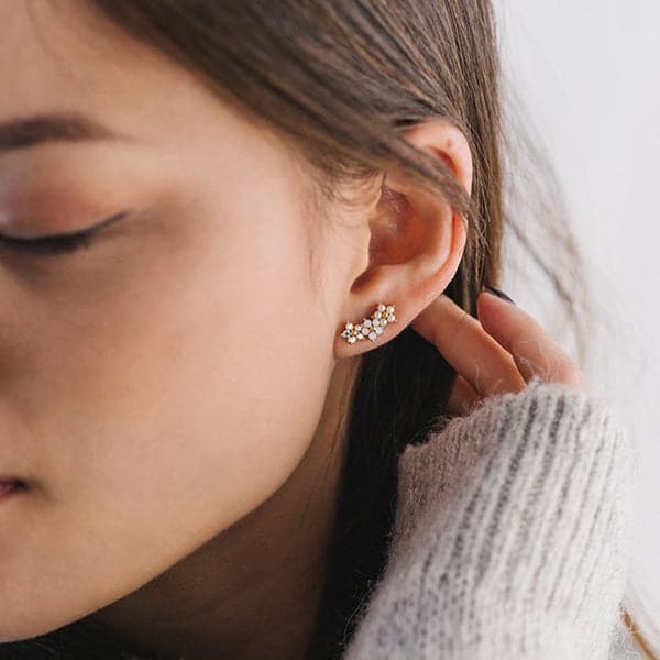 Floral Climbers Earrings - Pigment 