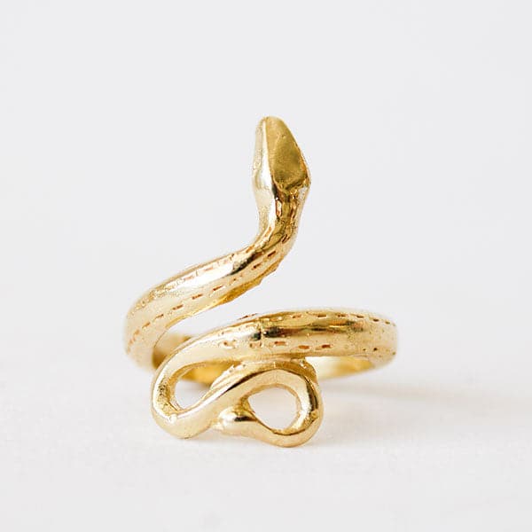 In front of a white background is a gold snake ring. The tail is at the bottom and the body and head curves around to the top of the ring. 