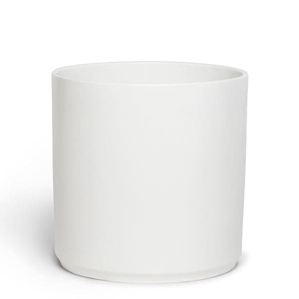 This 2 to 3 gallon ceramic pot has a classic cylinder shape and is solid white. 