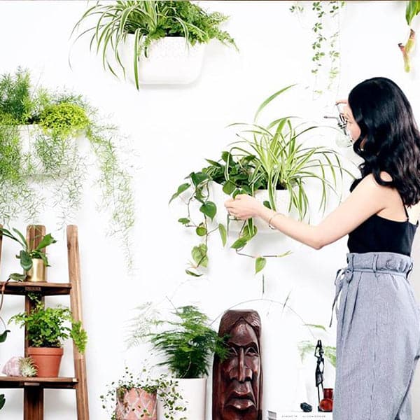 On a white background is a self watering wall planter with small holes in the front, an opening in the back for holding water and a photographed here with a model adjusting the plants inside that are sold separately. 