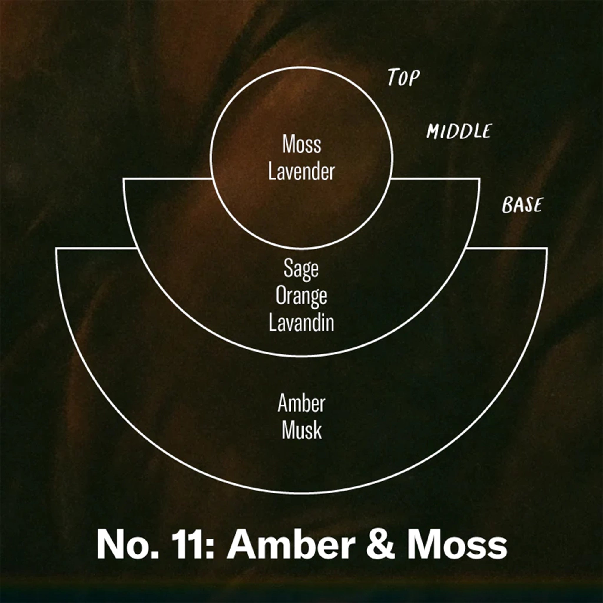 A graphic showing the notes of the candle. The top notes include moss and lavender, the middle notes are sage, orange and lavandin, and the base notes are listed as amber and musk.