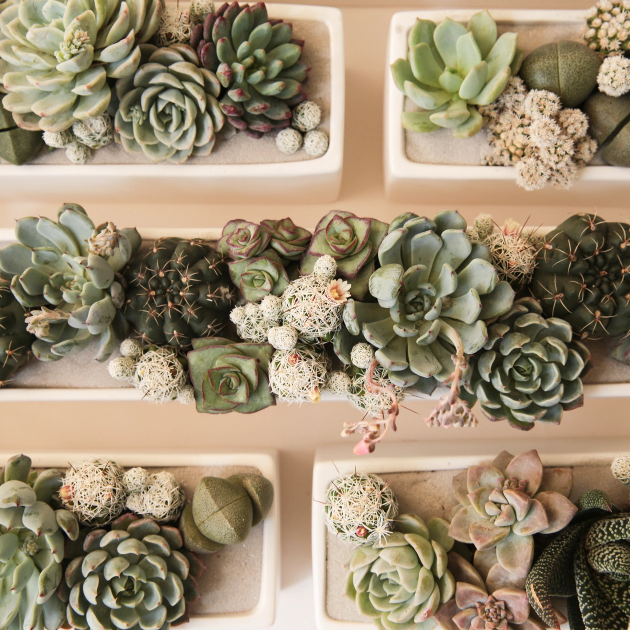 A long rectangular ceramic planter filled with succulents (not included with purchase).