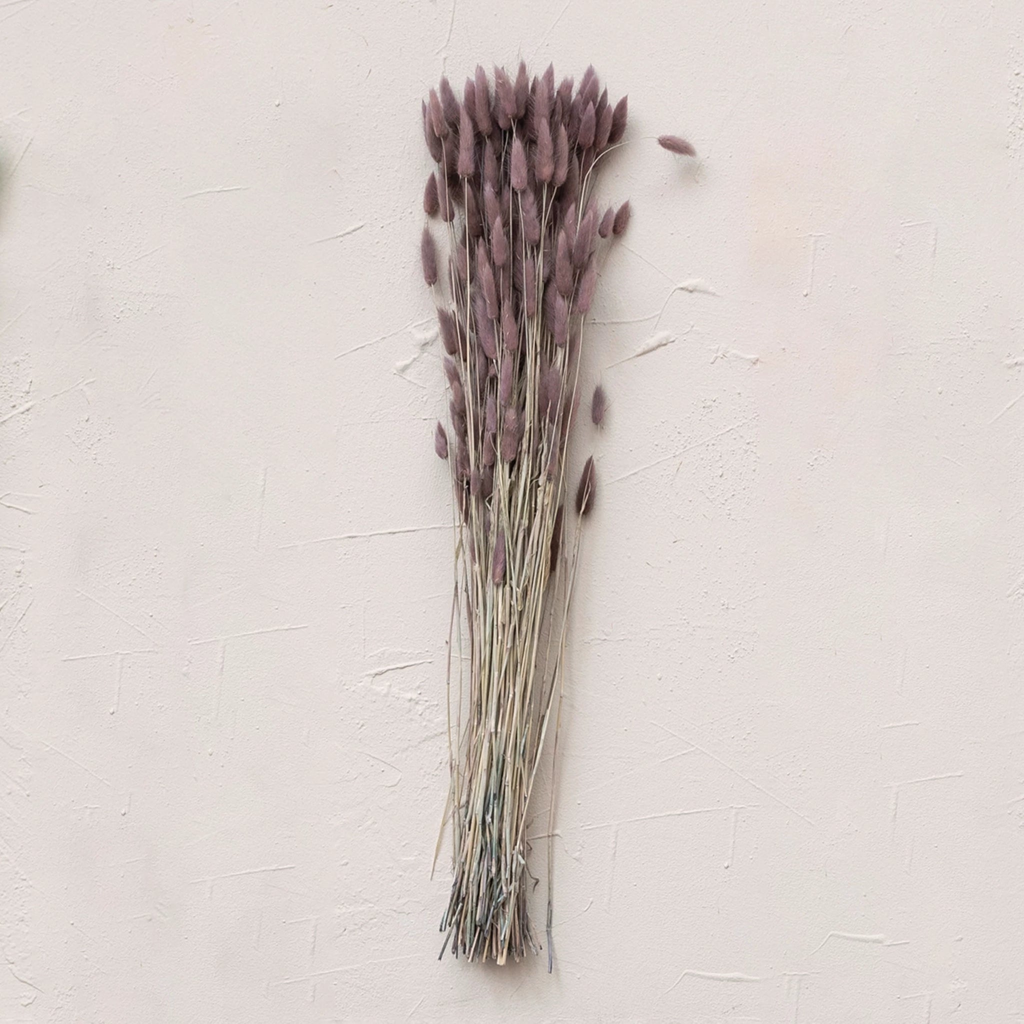 A bundle of dried bunny tails in a lavender shade.