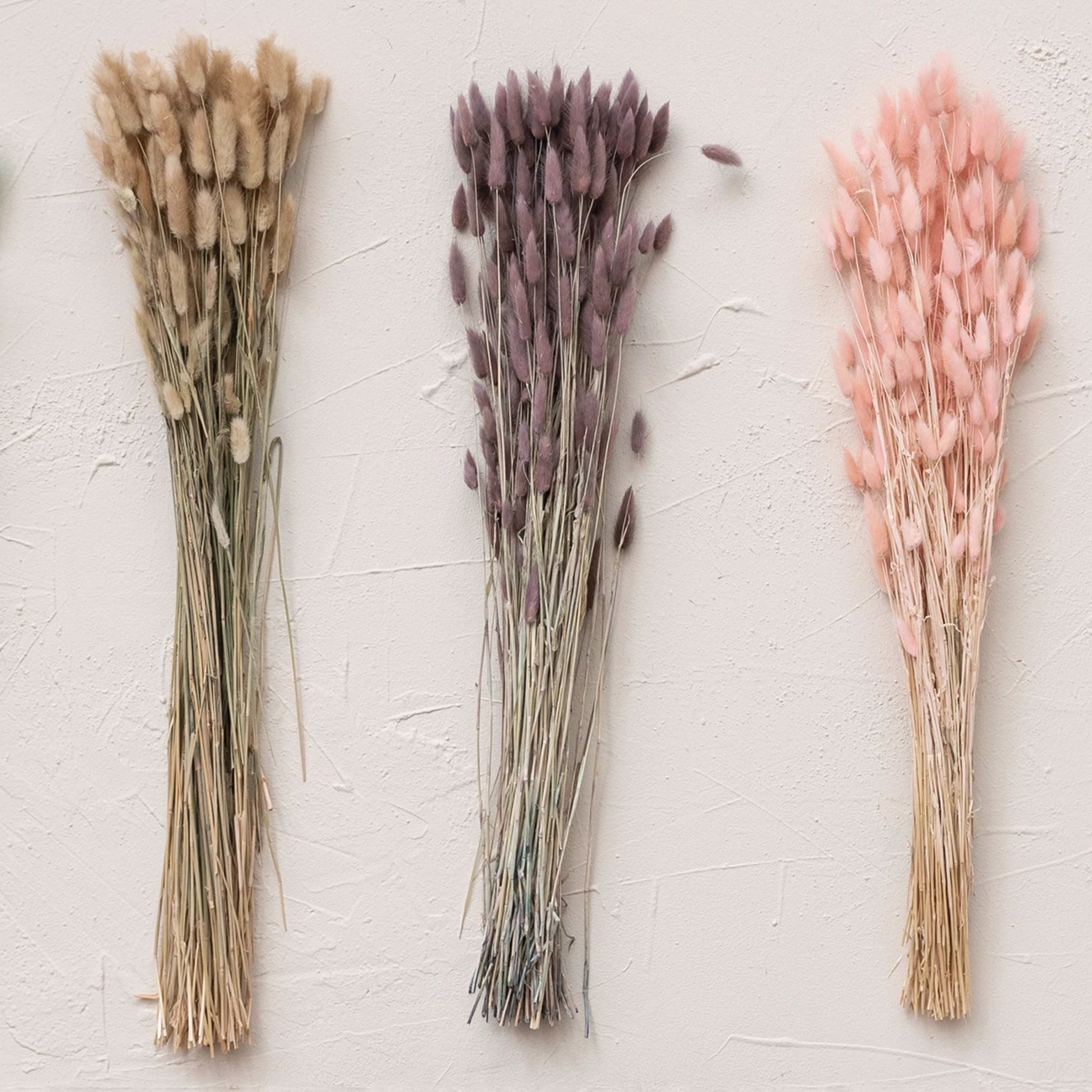A bundle of natural colored dried bunny tail florals photographed with the other color ways that we carry on our website, pink and lavender.