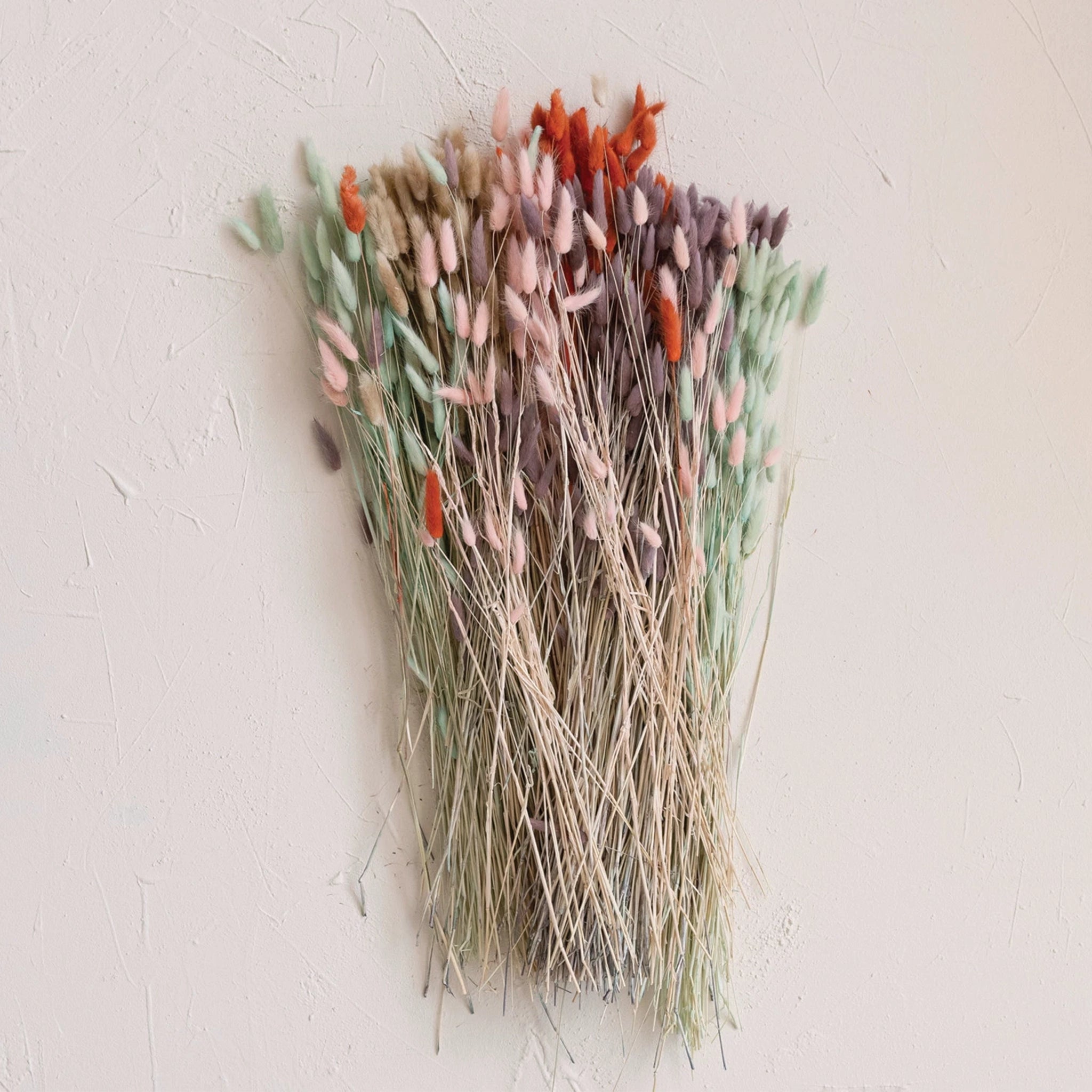 A bundle of light pink dried bunny tail with long stems photographed with with the other colors available on our website in lavender, natural and mint.
