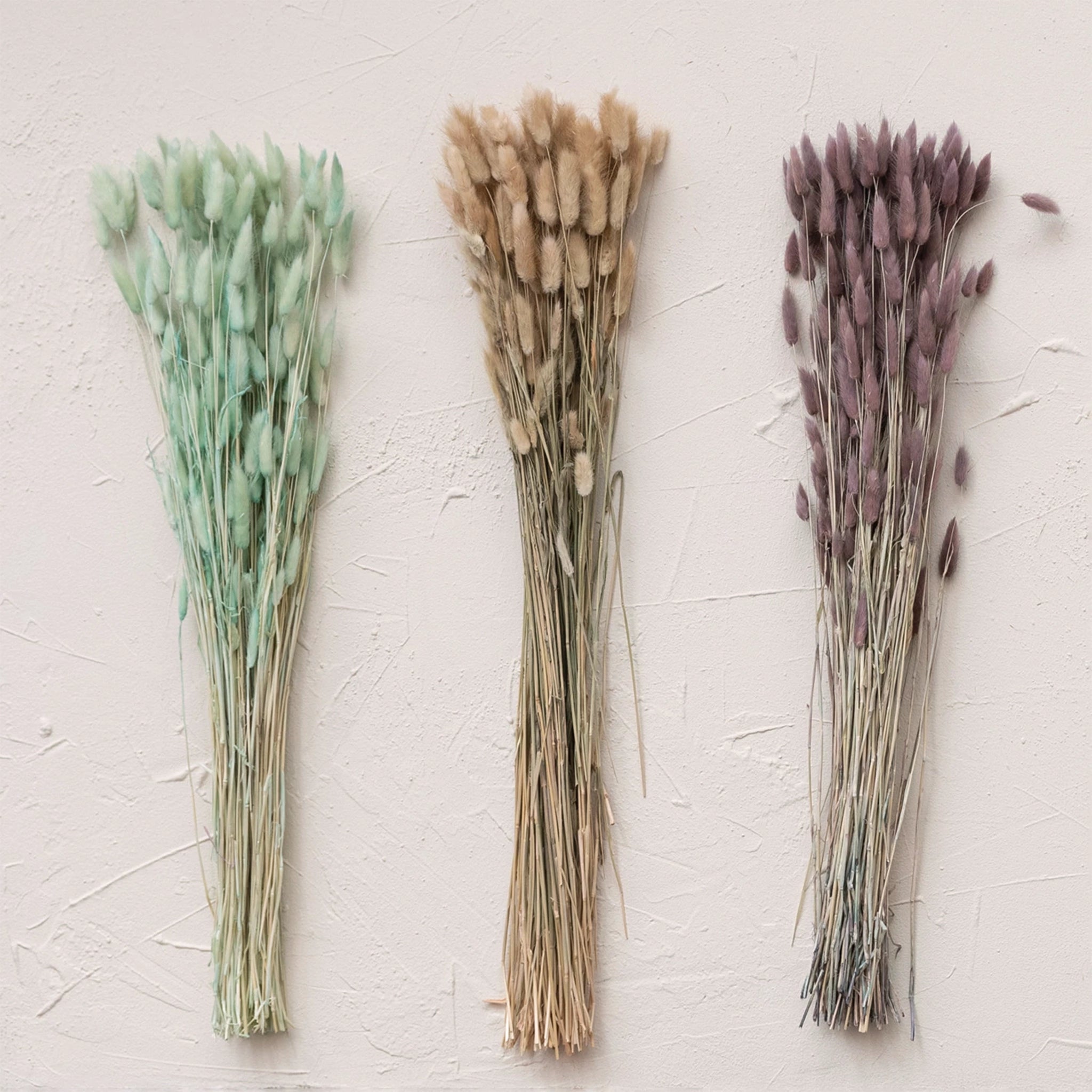A bundle of dried bunny tails in a lavender shade photographed with the other shades we carry on our website in pink, natural and mint.