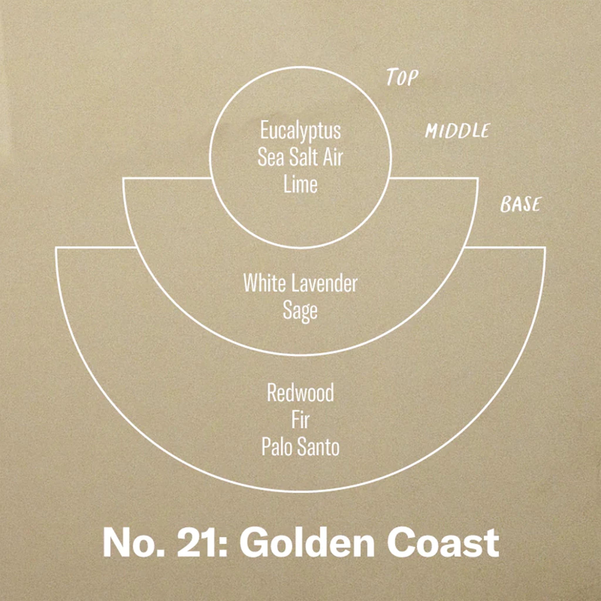 A tan diagram displaying the top, middle and base notes that are in the Golden Coast Candle including Eucalyptus, White Lavender, and Palo Santo. 